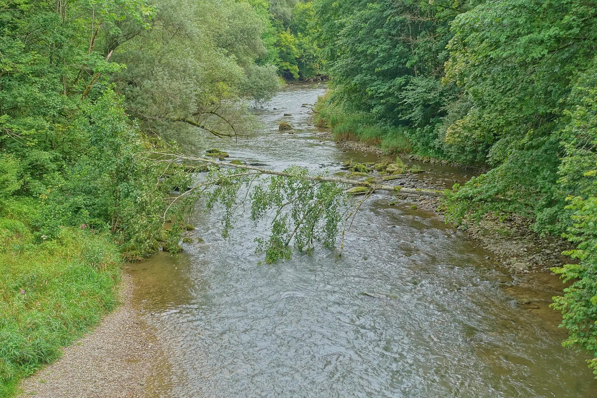 Photo showing: Wutach, Wiizemer Steg