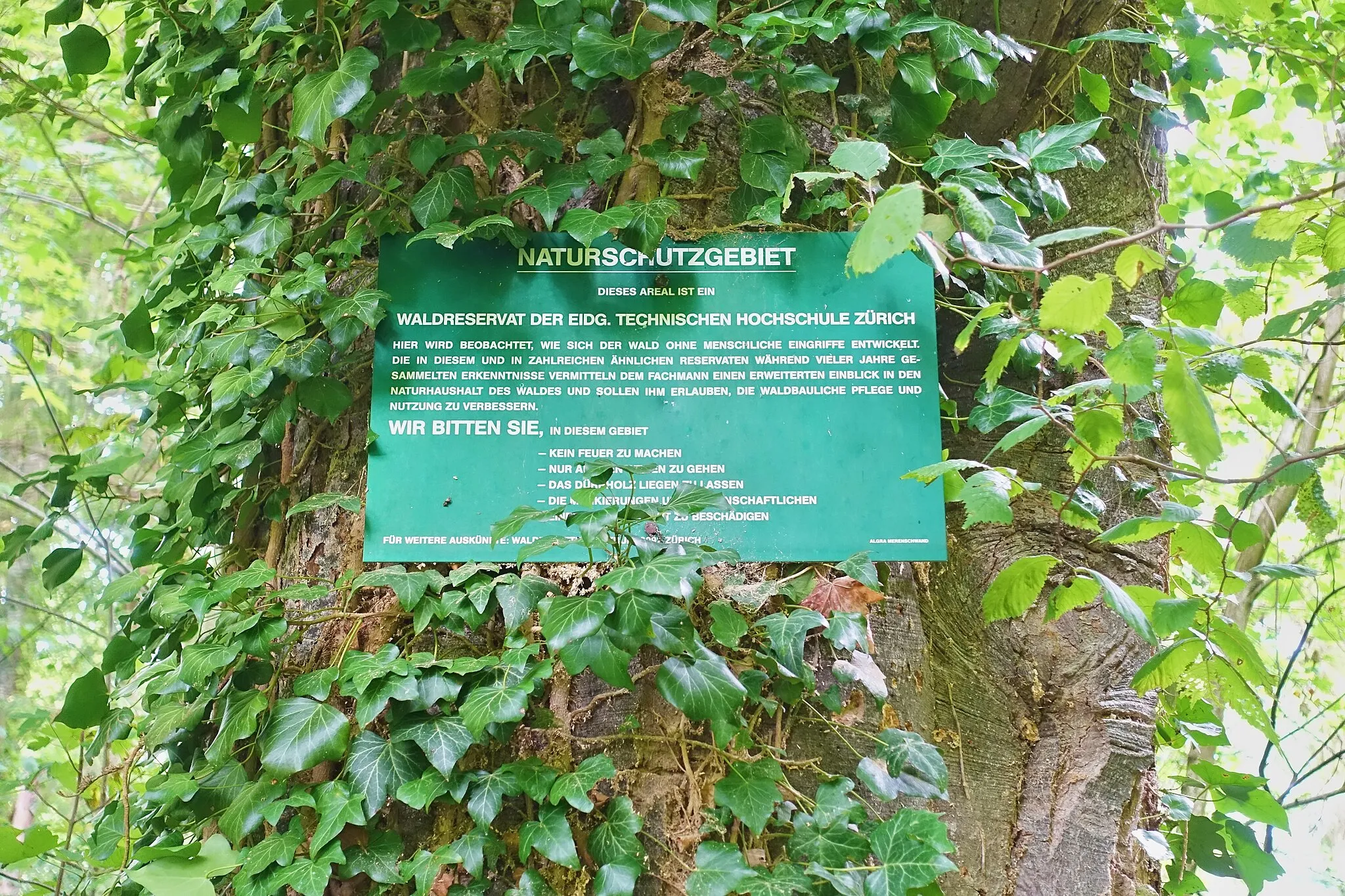 Photo showing: Auenwaldreservat Seldenhalde