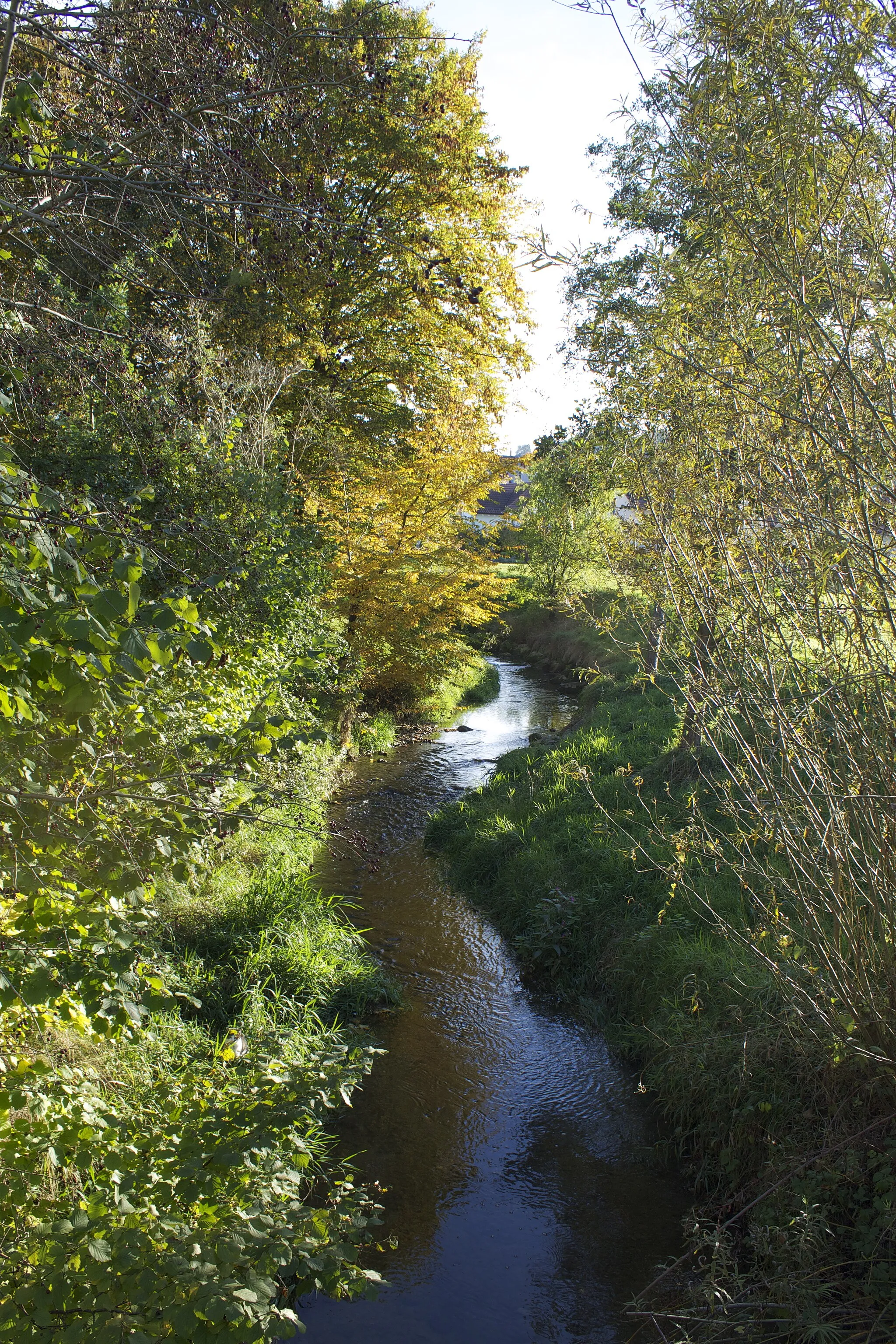 Photo showing: Wildbach in Embrach