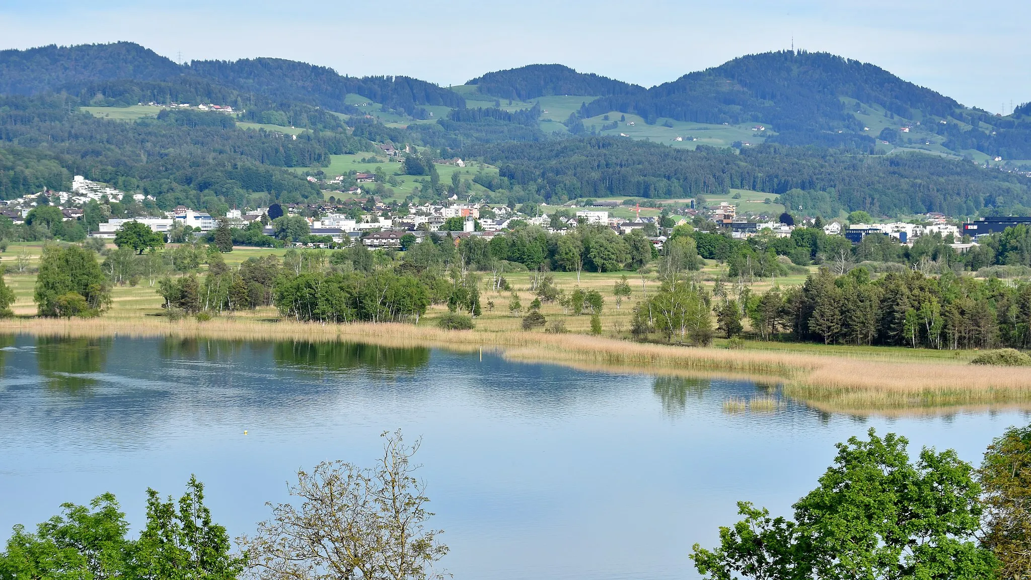 Photo showing: Kempten and Robenhausener Ried alongside Pfäffikersee as seen from Jucker Farm in Seegräben (Switzerland)