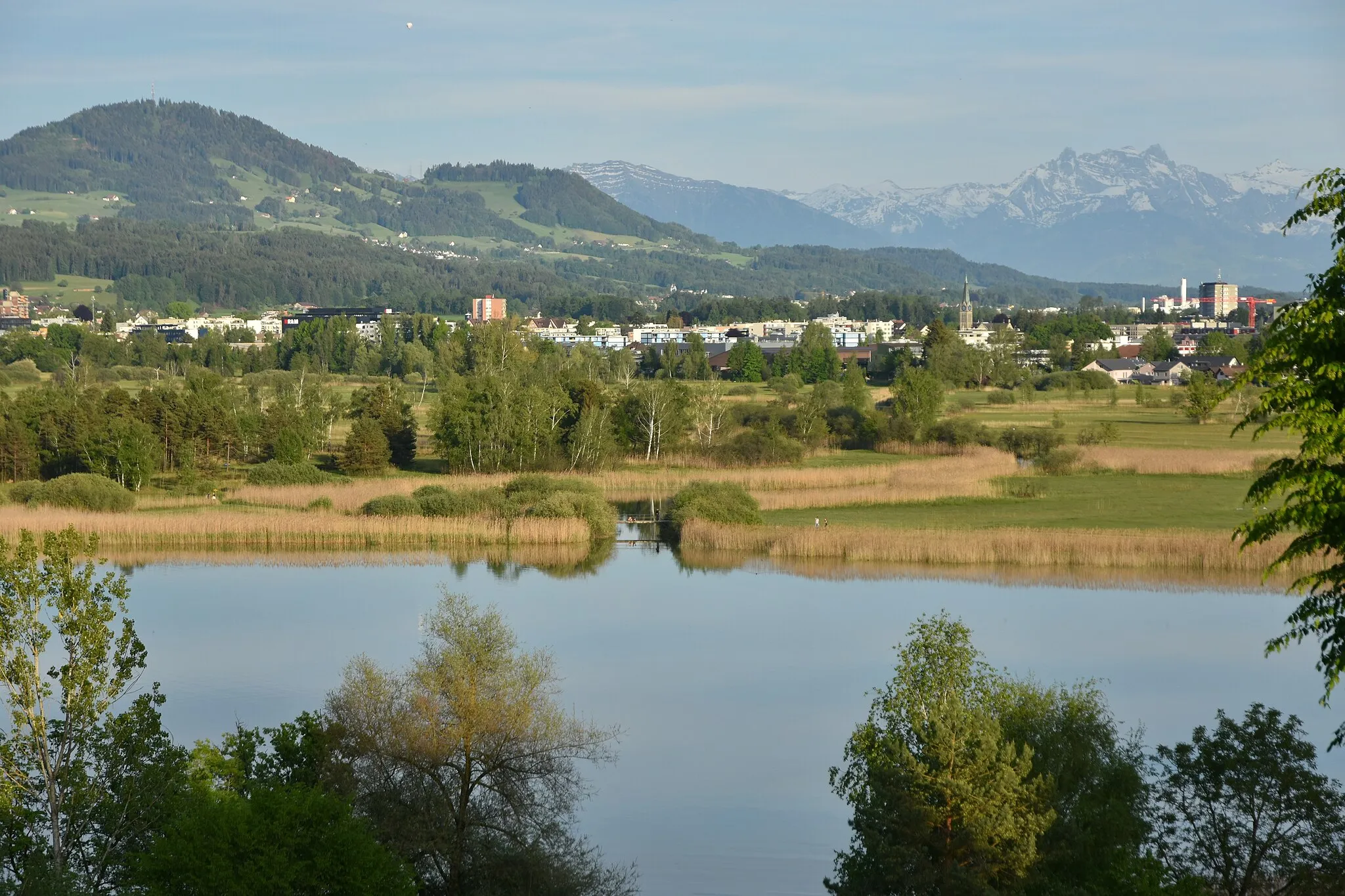 Photo showing: Robenhausener Ried alongside Pfäffikersee as seen from Jucker Farm in Seegräben (Switzerland)