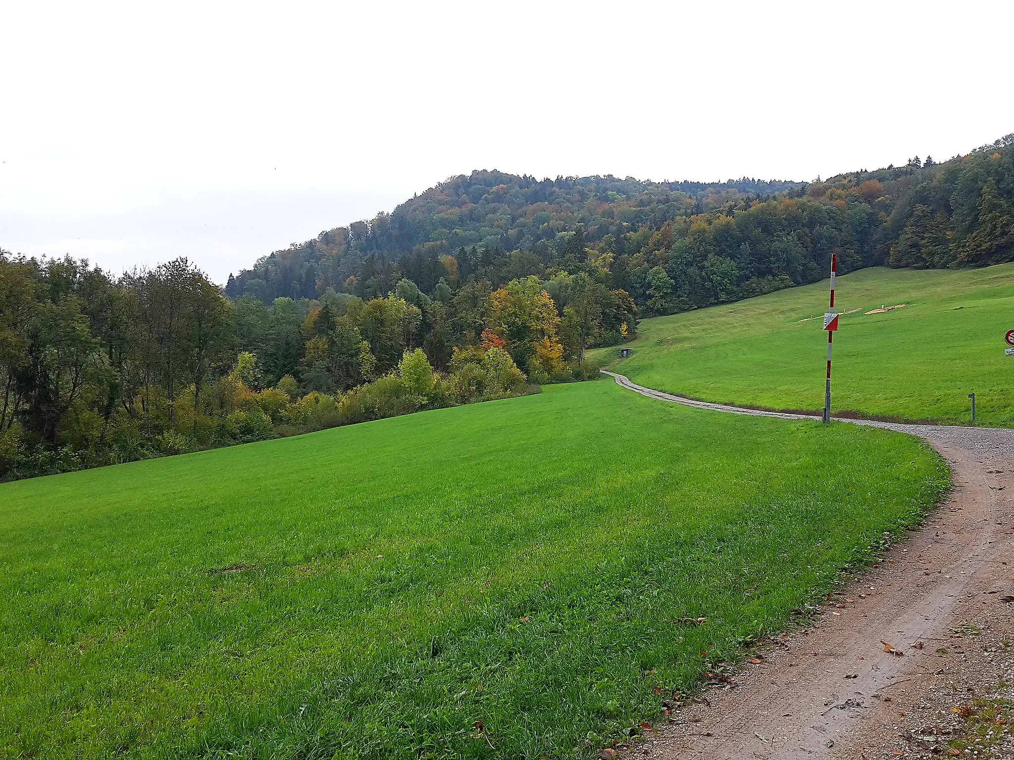 Photo showing: Blick ins Reppischtal nahe Reppischhof in der Gemeinde Bergdietikon mit dem 586 Meter hohen Hohbüel