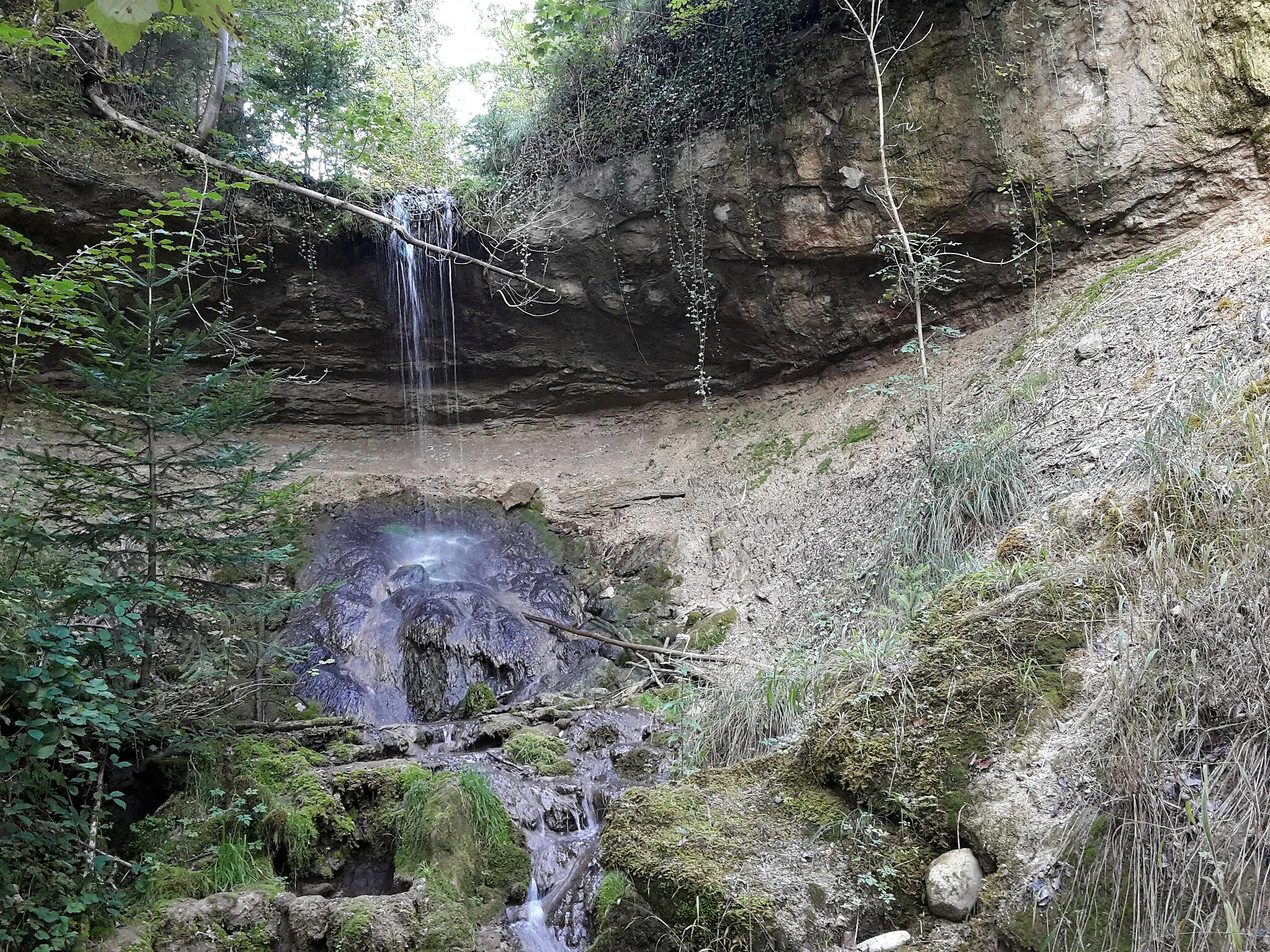 Photo showing: Wasserfall am Dickibach