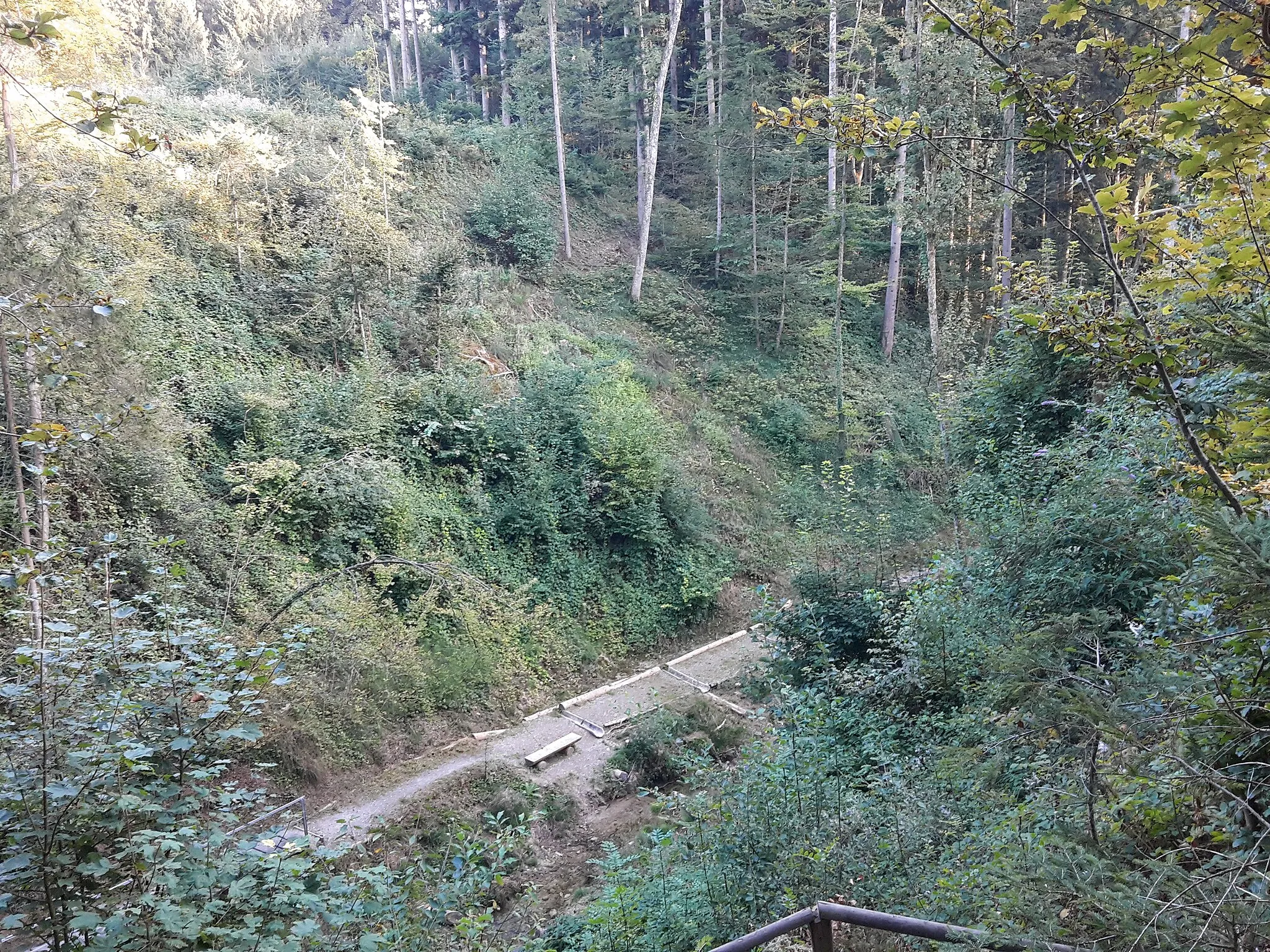 Photo showing: Blick ins obere Tätschtobel mit Dickibach in der Gemeinde Illnau-Effretikon, Kanton Zürich