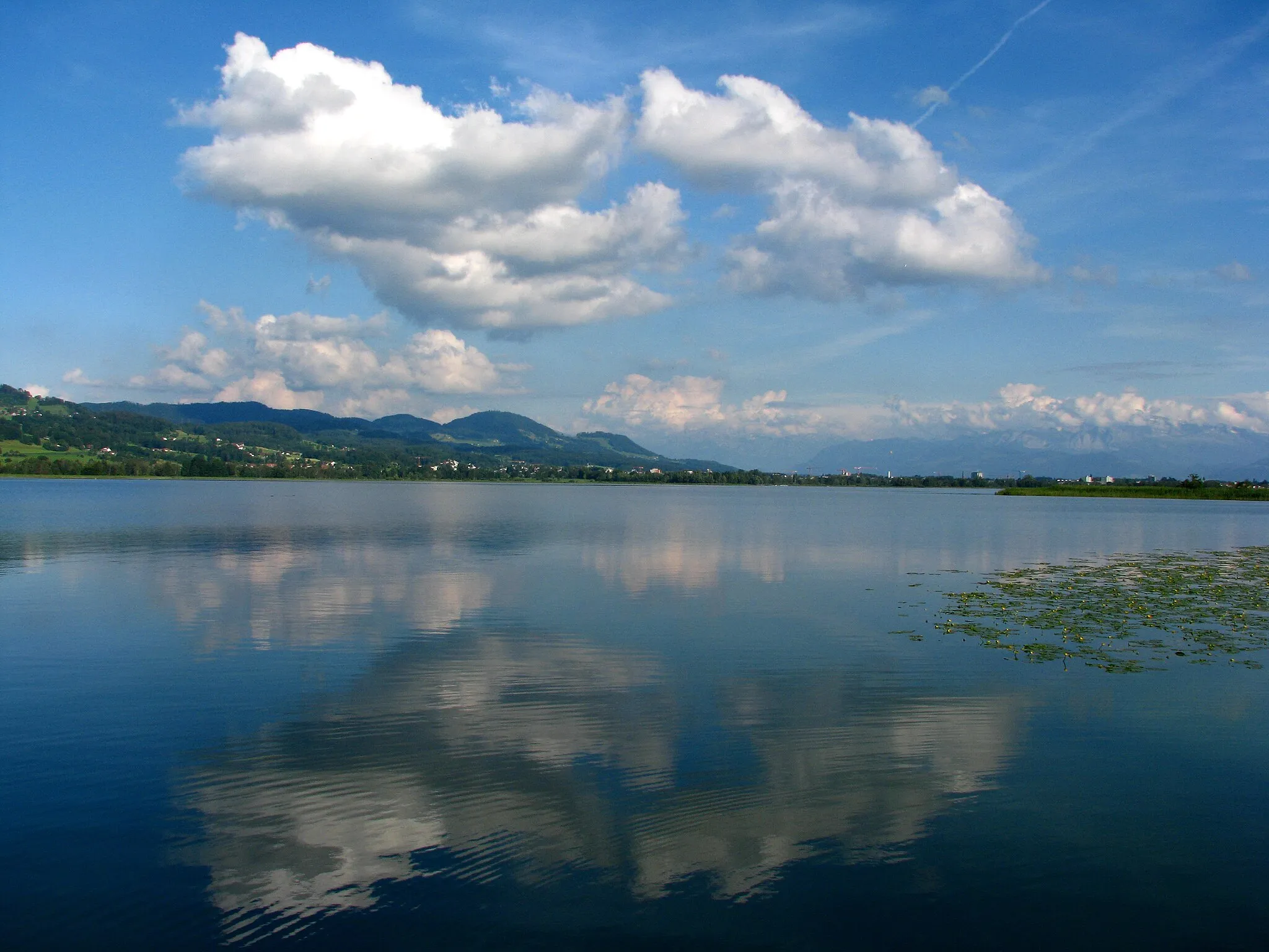 Photo showing: Wetzikon and Pfäffikersee as seen from Rutschberg (Pfäffikon), Bachtel-Hasenstrick and Alps (to the right) in the background.