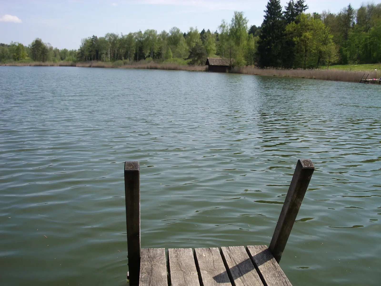 Photo showing: Husemer Lake, Ossingen ZH, Switzerland