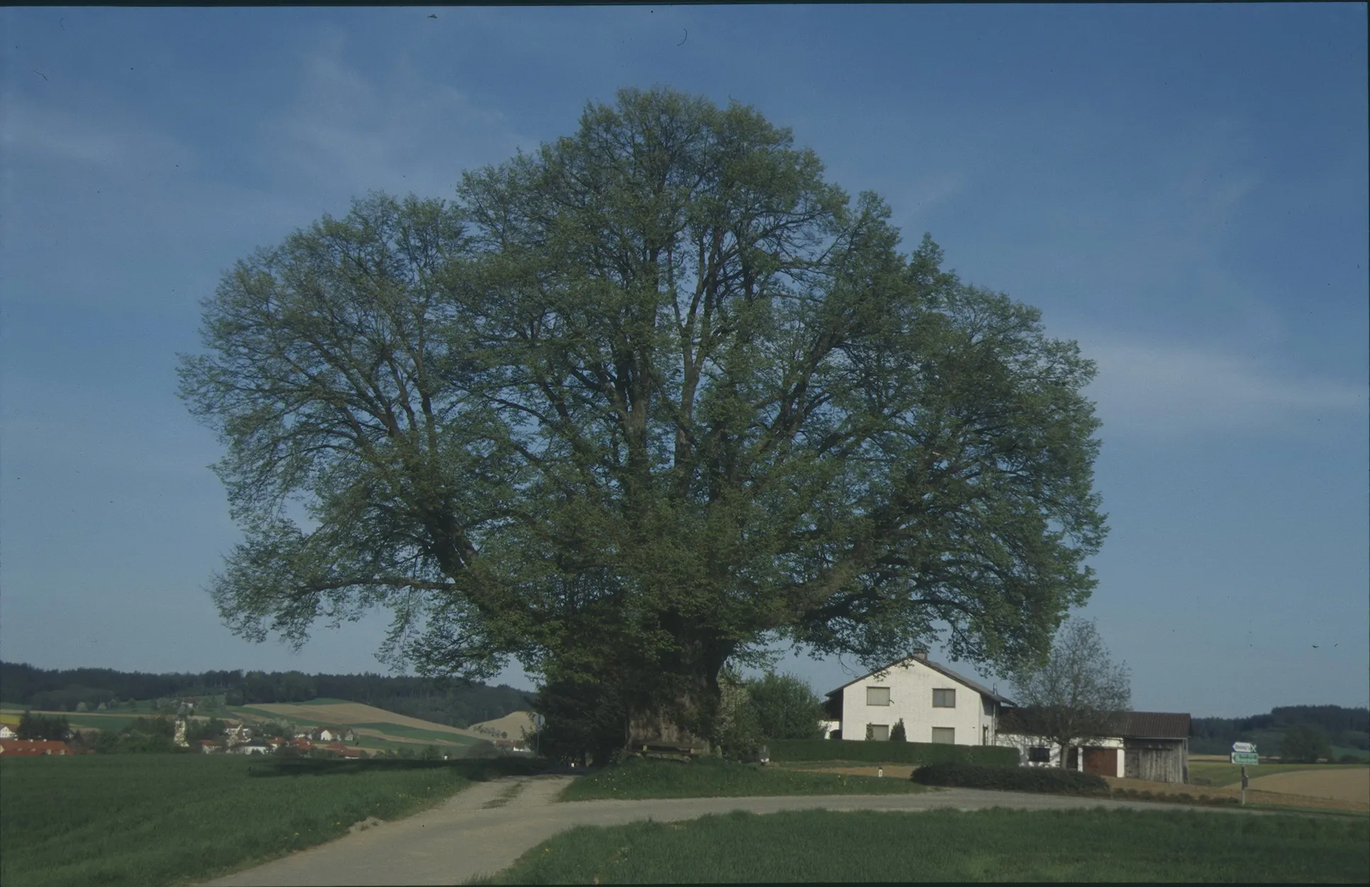 Photo showing: This media shows the natural monument in Upper Austria  with the ID nd410.