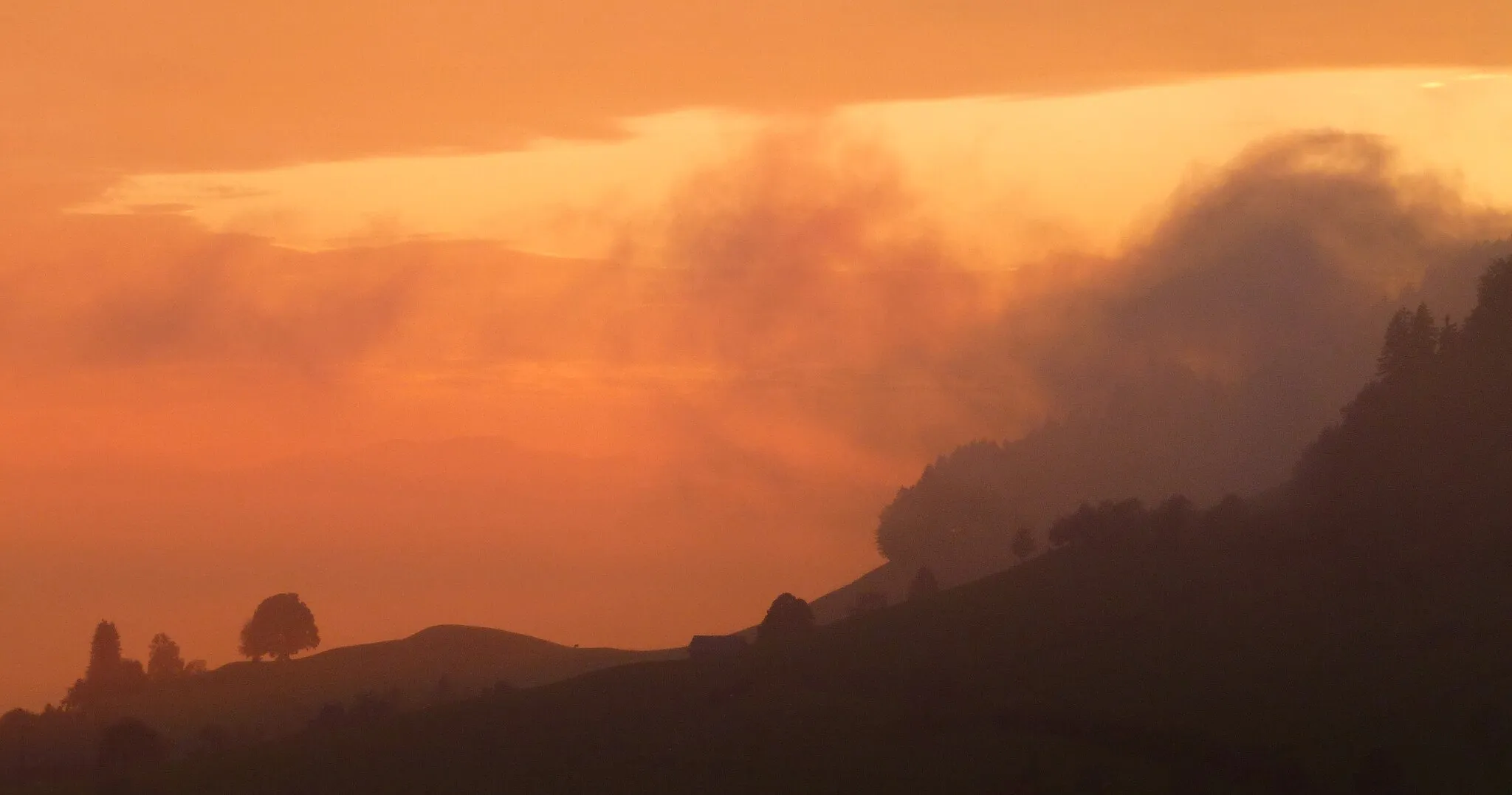 Photo showing: Oberricken, Abendnebel kommt auf.