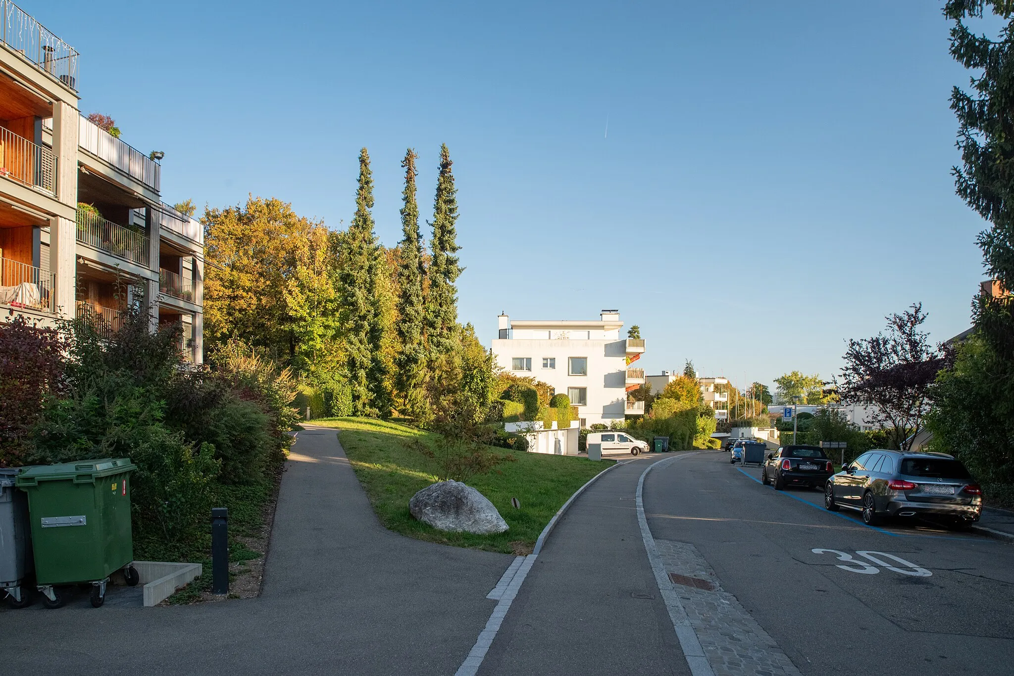 Photo showing: Am Oeschbrig in Zürich: a road with a 30 km/h limitation painted on it, 3-story residential buildings on each side, and cars parked on blue parking spots. There's three high, thin trees in the background.