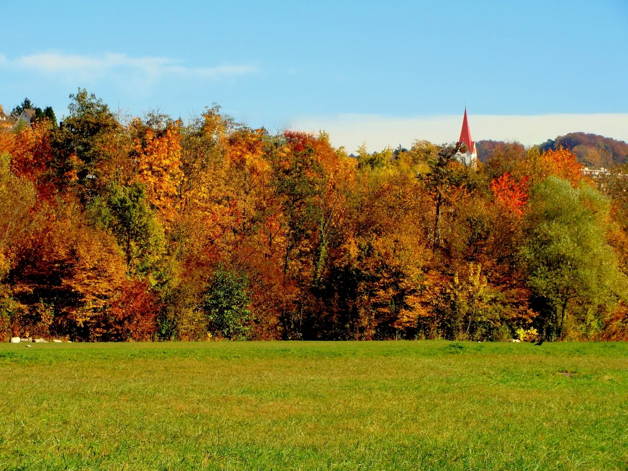 Photo showing: Kirche Höngg von weitem