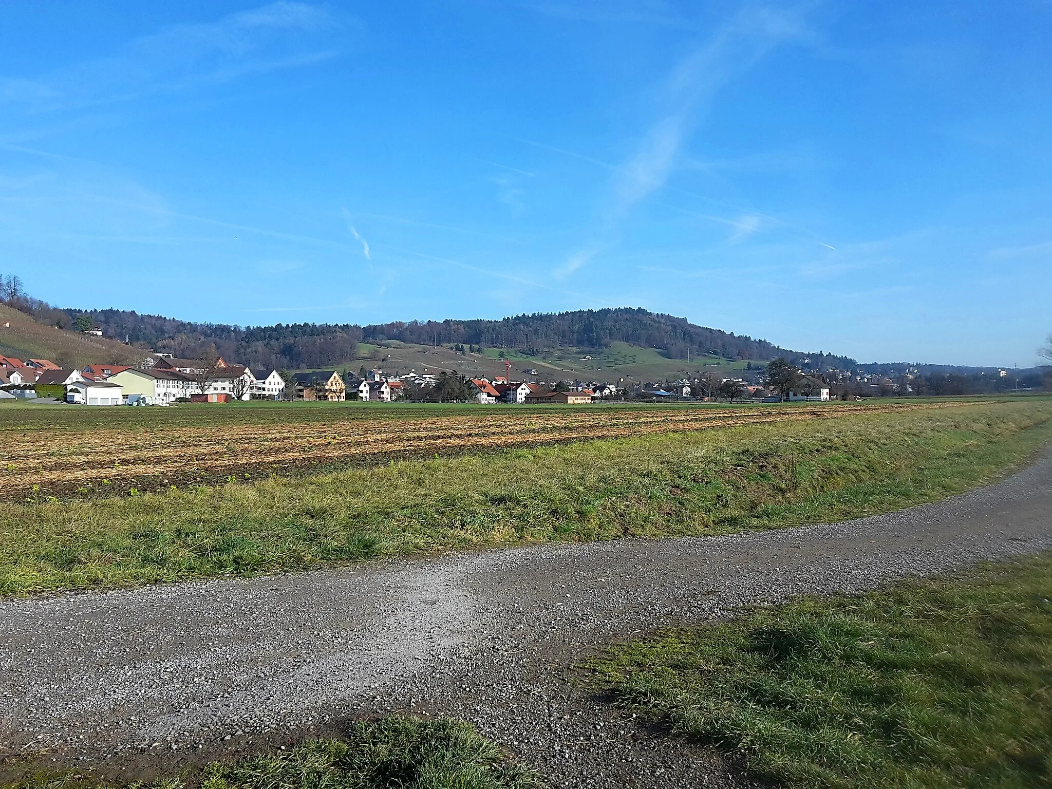 Photo showing: Blick nach Weiningen mit Gubrist im Hintergrund vom Länggenbach bei der Flur Stälzers Räben aus gesehen.