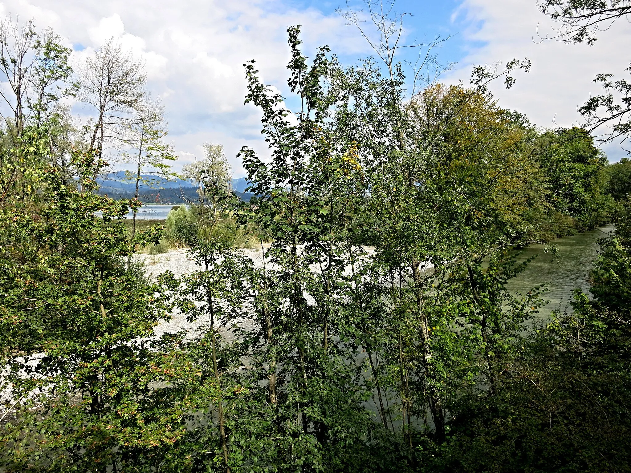 Photo showing: Aussicht vom Lachner Aahorn Turm Richtung Nord Osten