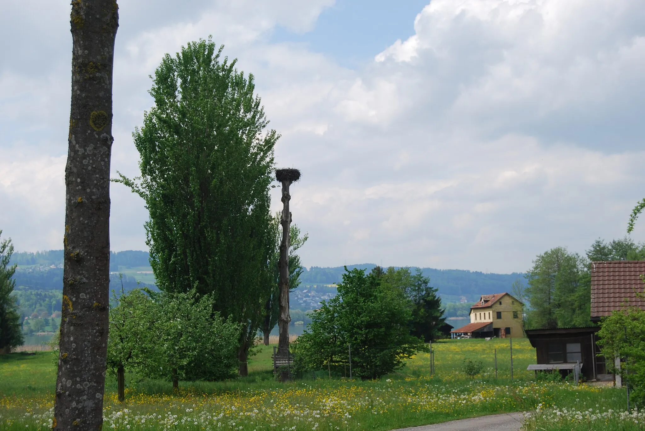 Photo showing: Riedikon, city of Uster, canton of Zürich, Switzerland