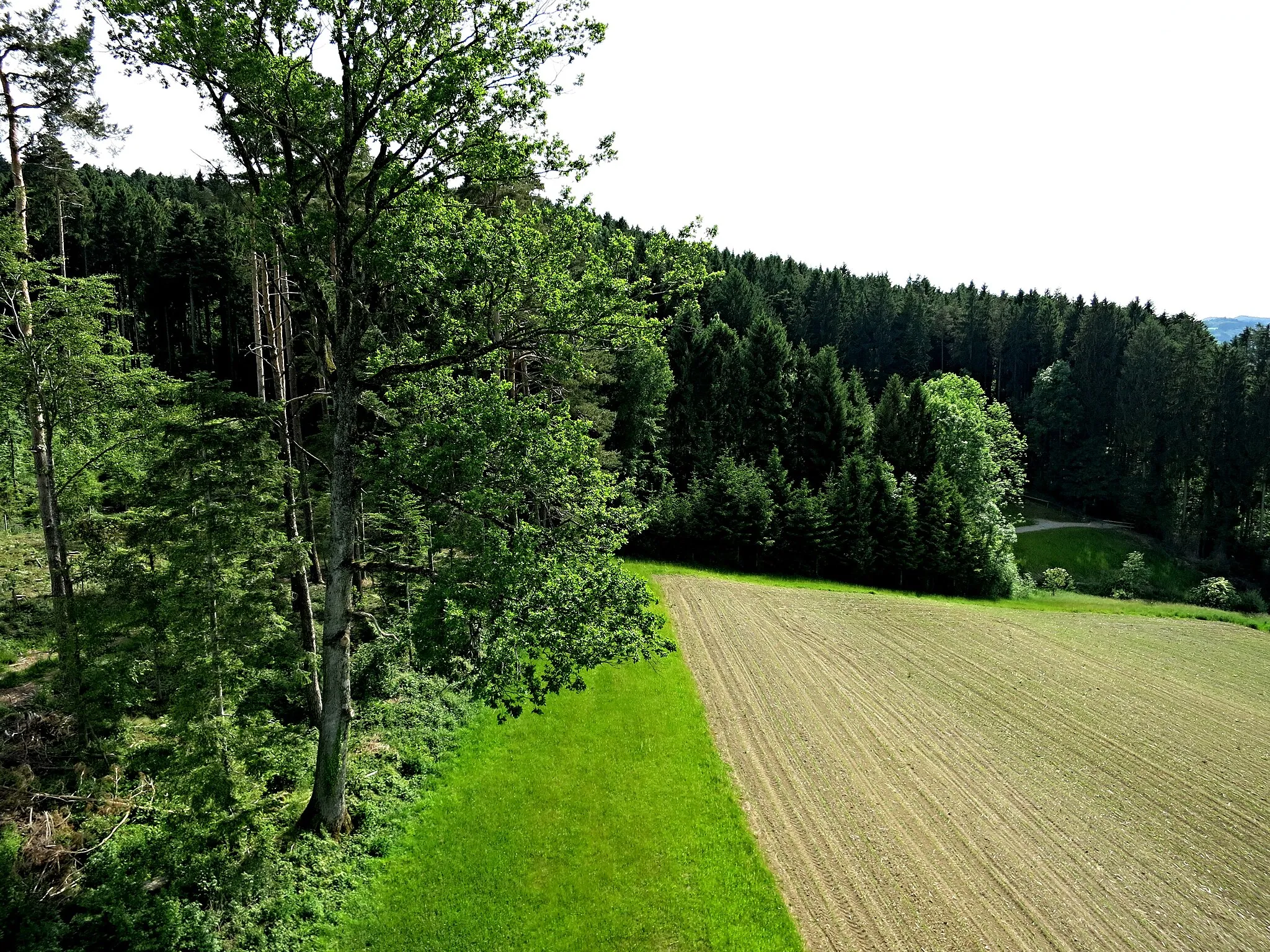 Photo showing: Aussicht vom JuBla Turm Sirnach Richtung Süd Westen