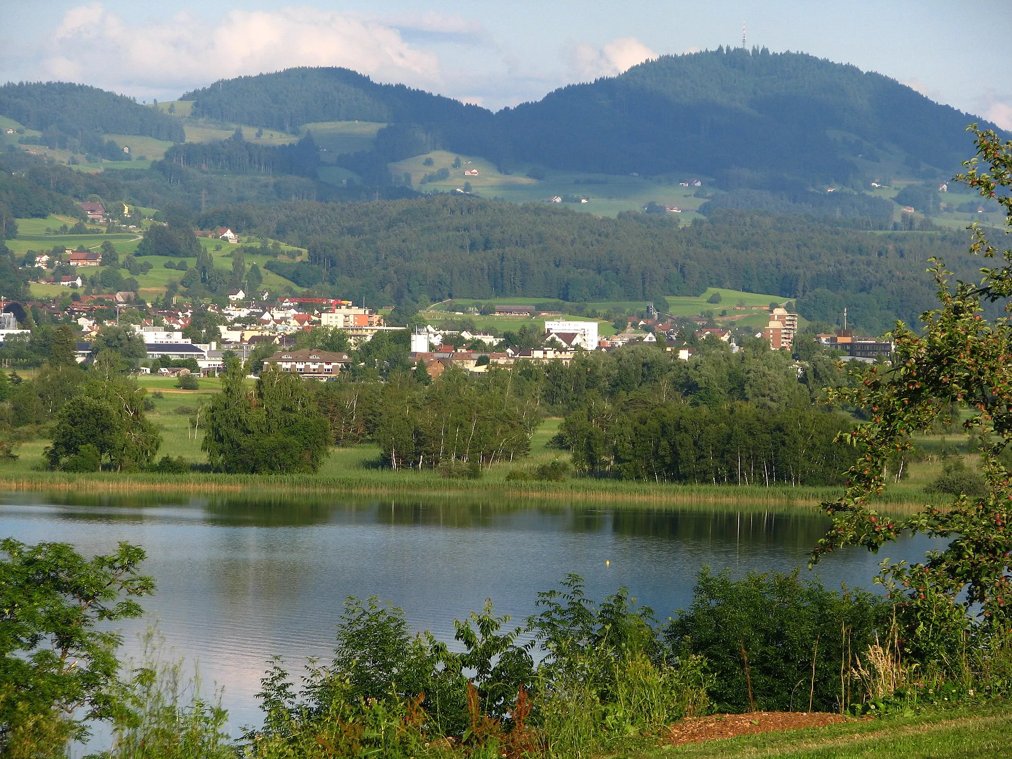 Photo showing: Kempten (Wetzikon) and Pfäffikersee as seen from Seegräben, Bachtel in the background.