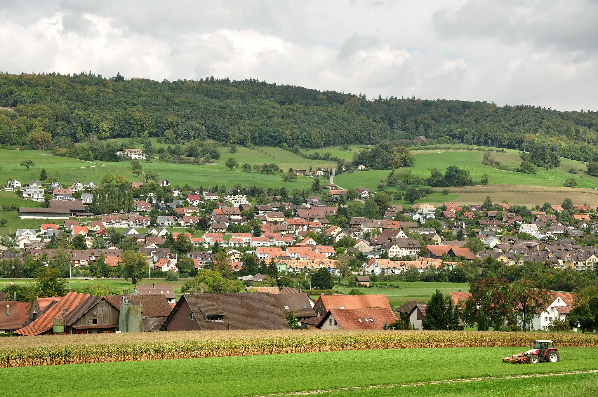 Photo showing: Oberweningen & Schleinikon (Switzerland)