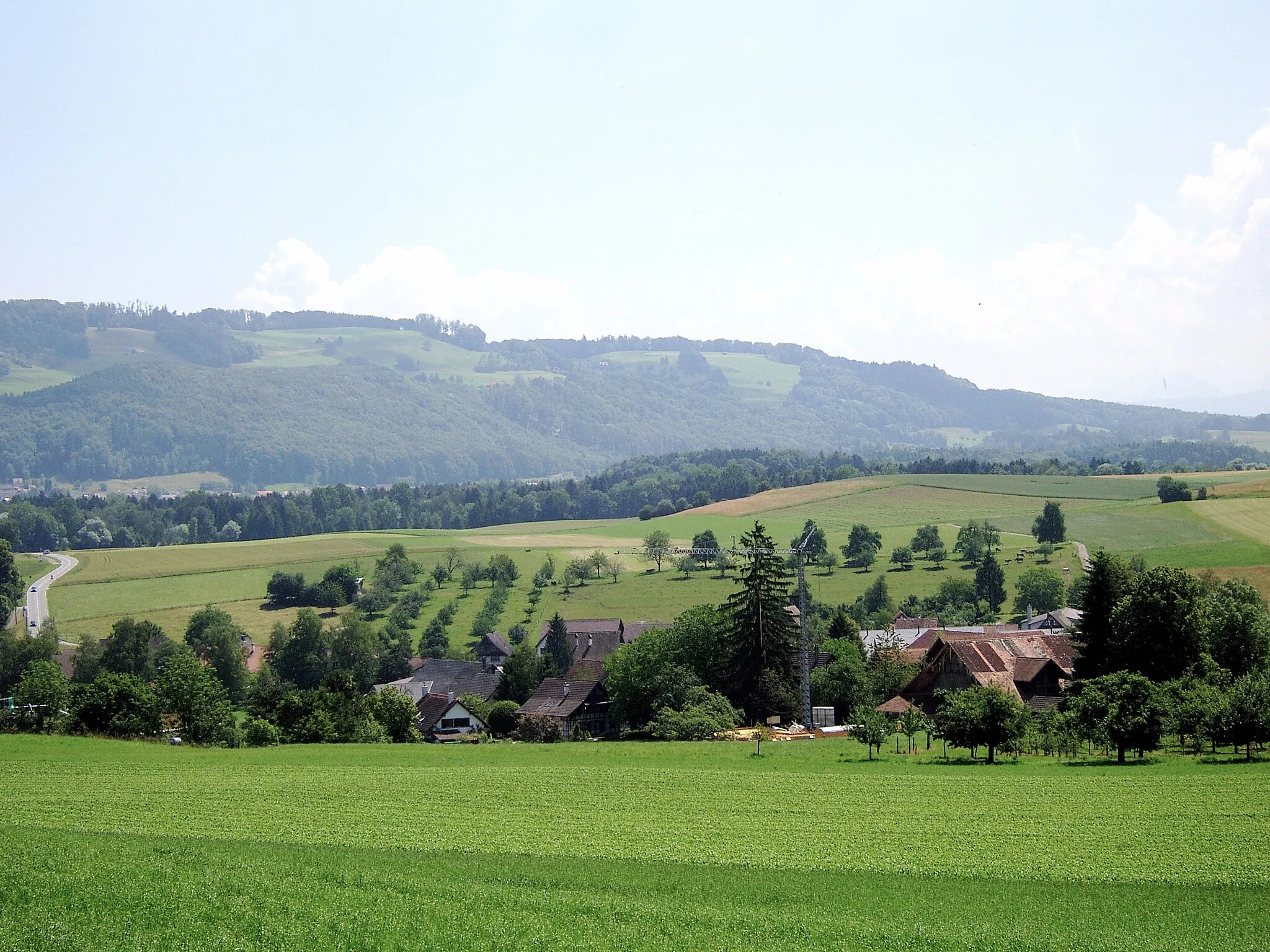 Photo showing: Unter-Rifferswil. Blick vom Waldrand unter dem Homberg.