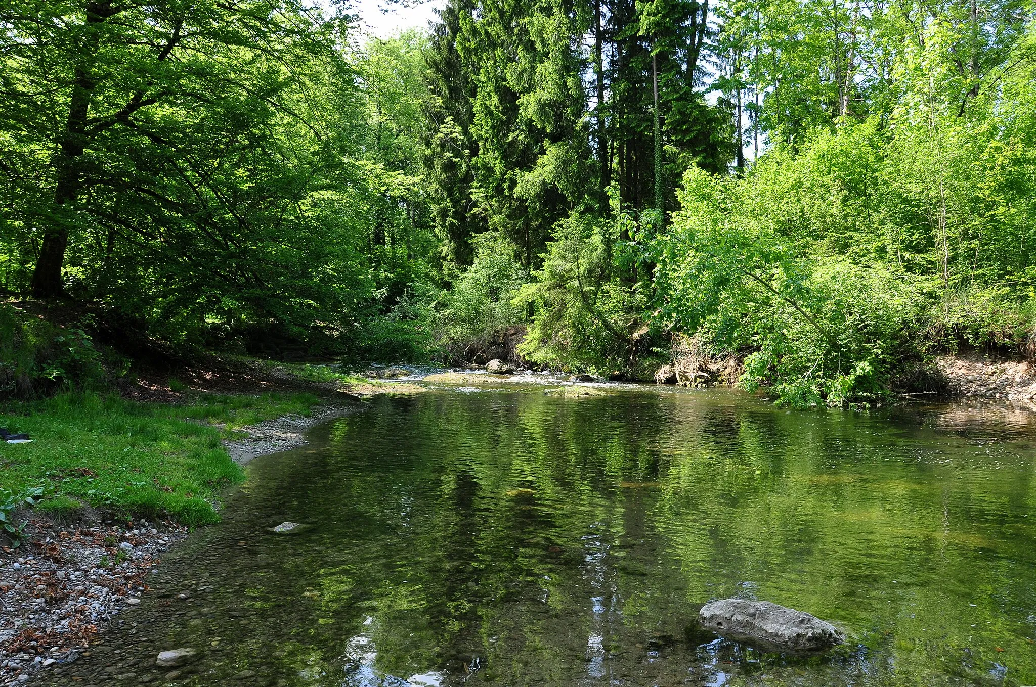 Photo showing: Rüti (ZH) : Jona river in so-called Joner Wald (Jona forrest).