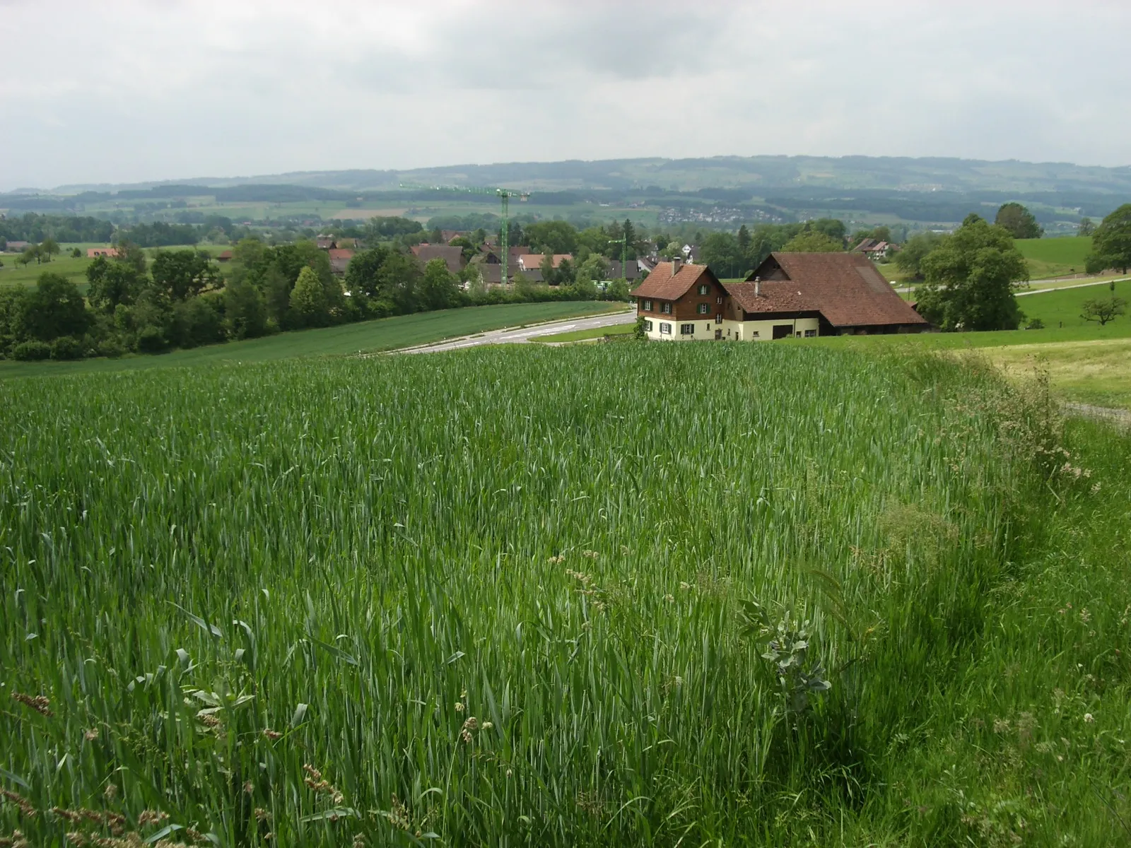 Photo showing: Maschwanden ZH, Switzerland