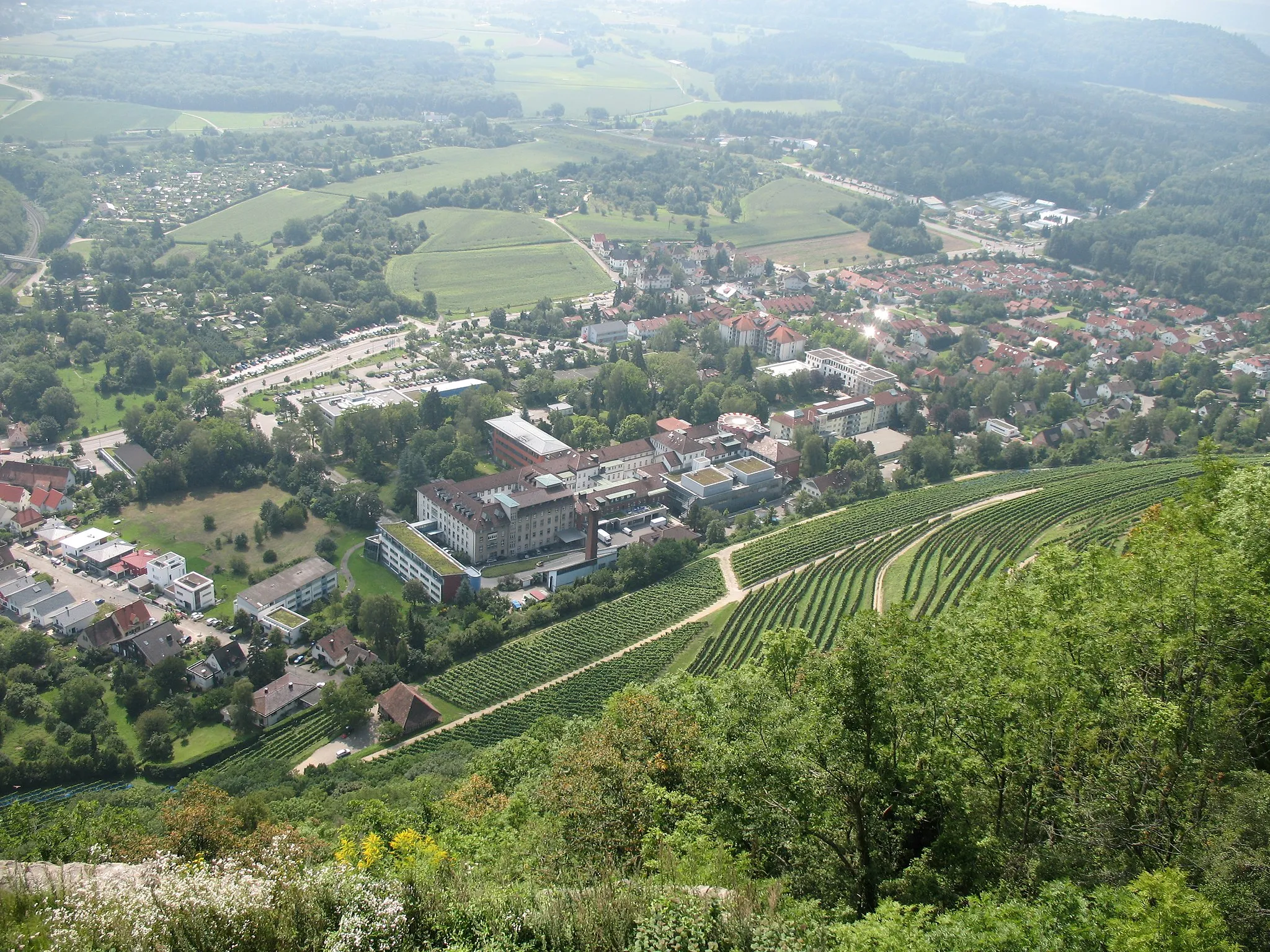 Photo showing: Blick hinab vom Hohentwiel auf die Ost-/ Südosthänge. Man erkennt das Weinanbaugebiet "Olgaberg" und das Hegau-Bodensee-Klinikum Singen.