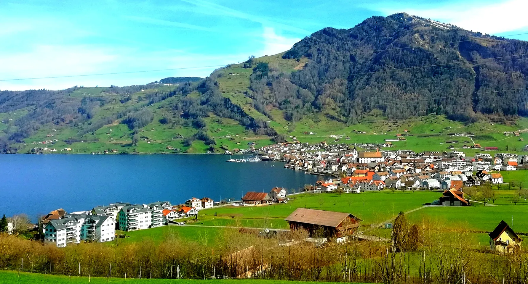 Photo showing: View on city of Arth-Goldau from SBB train