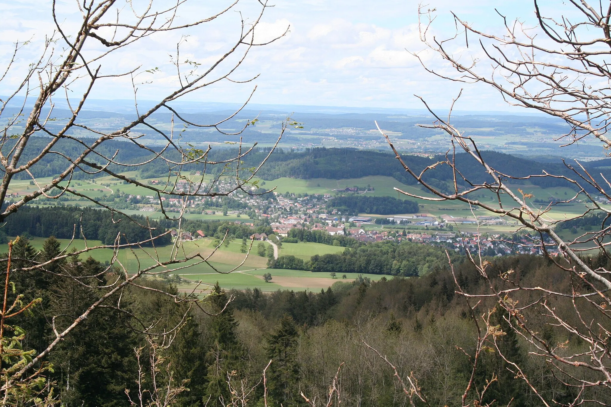 Photo showing: Elgg, Ansicht vom Schauenberg 890 m ü.M., Gemeinde Hofstetten ZH