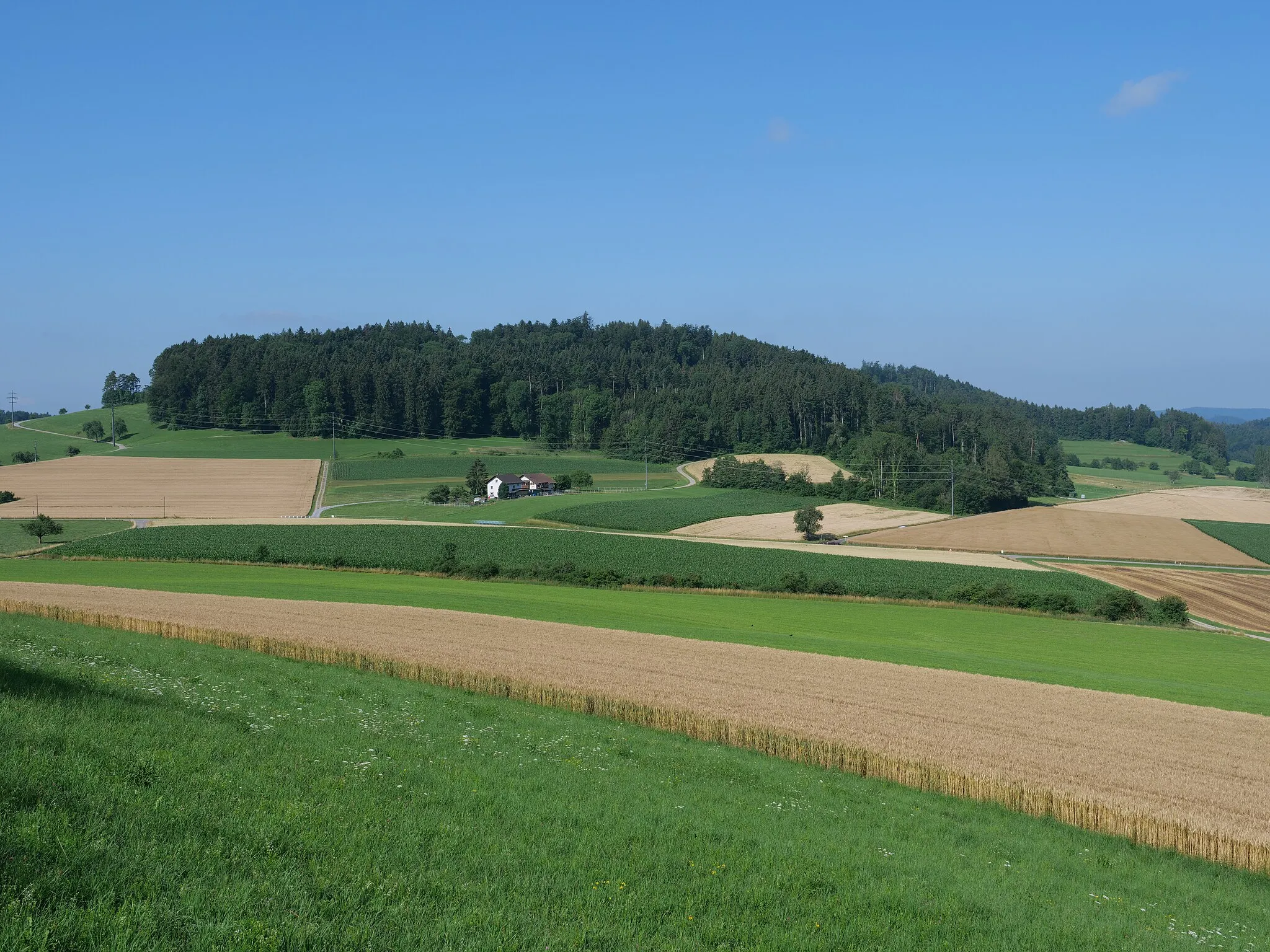 Photo showing: Der Hulmen von Eichbüel bei Waltenstein betrachtet.