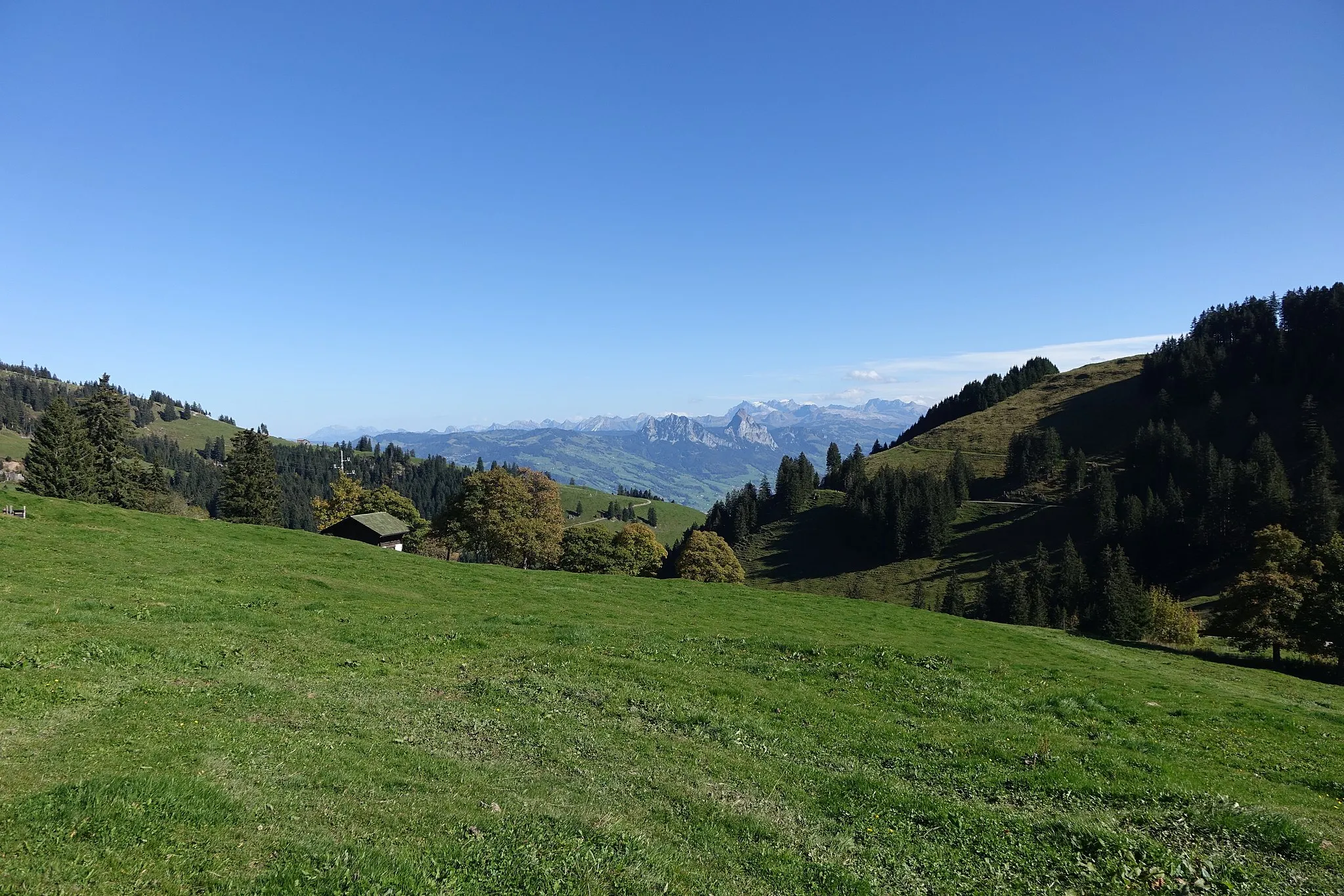 Photo showing: 141010Rigi, Schwyz, Switzerland