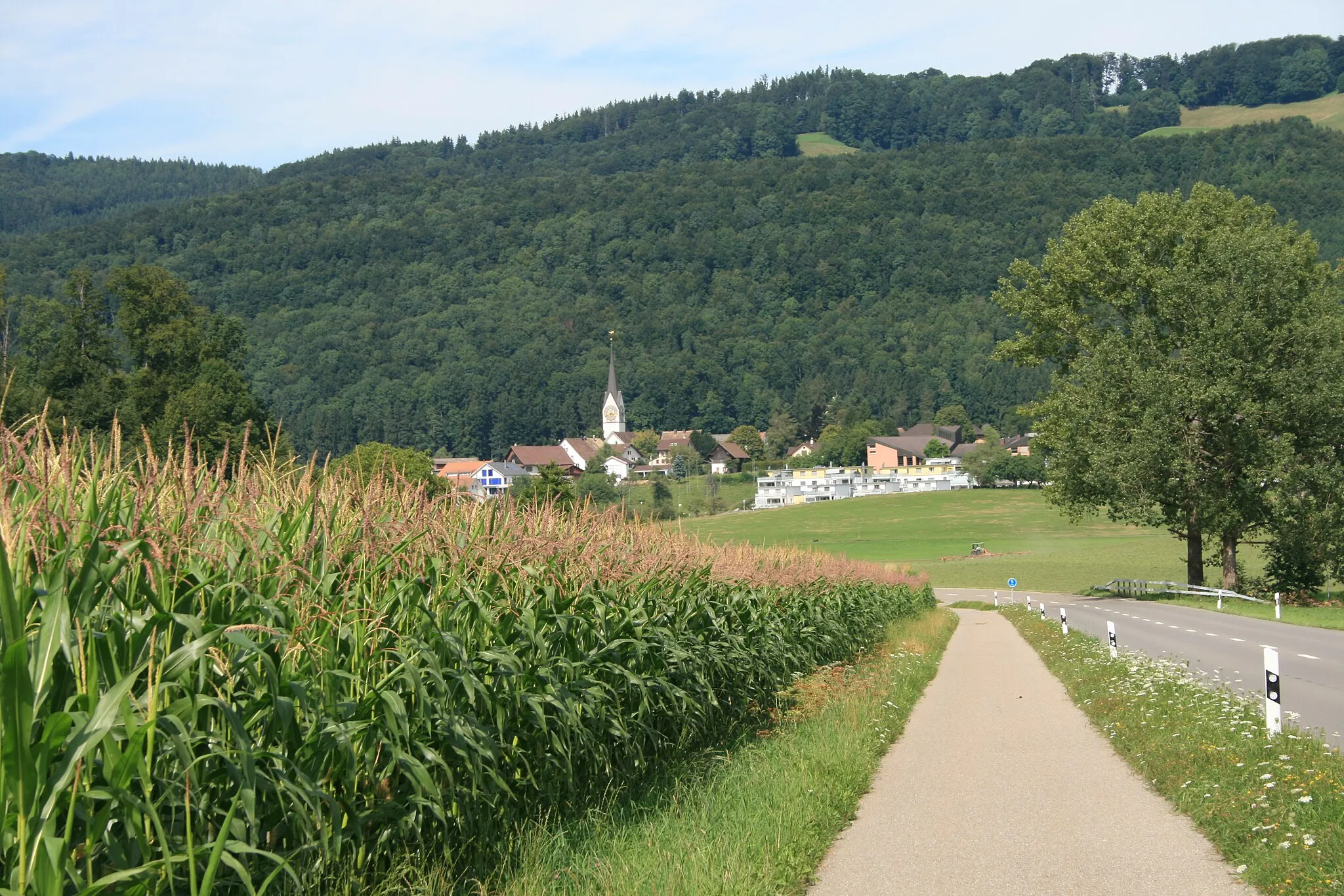 Photo showing: Hausen am Albis