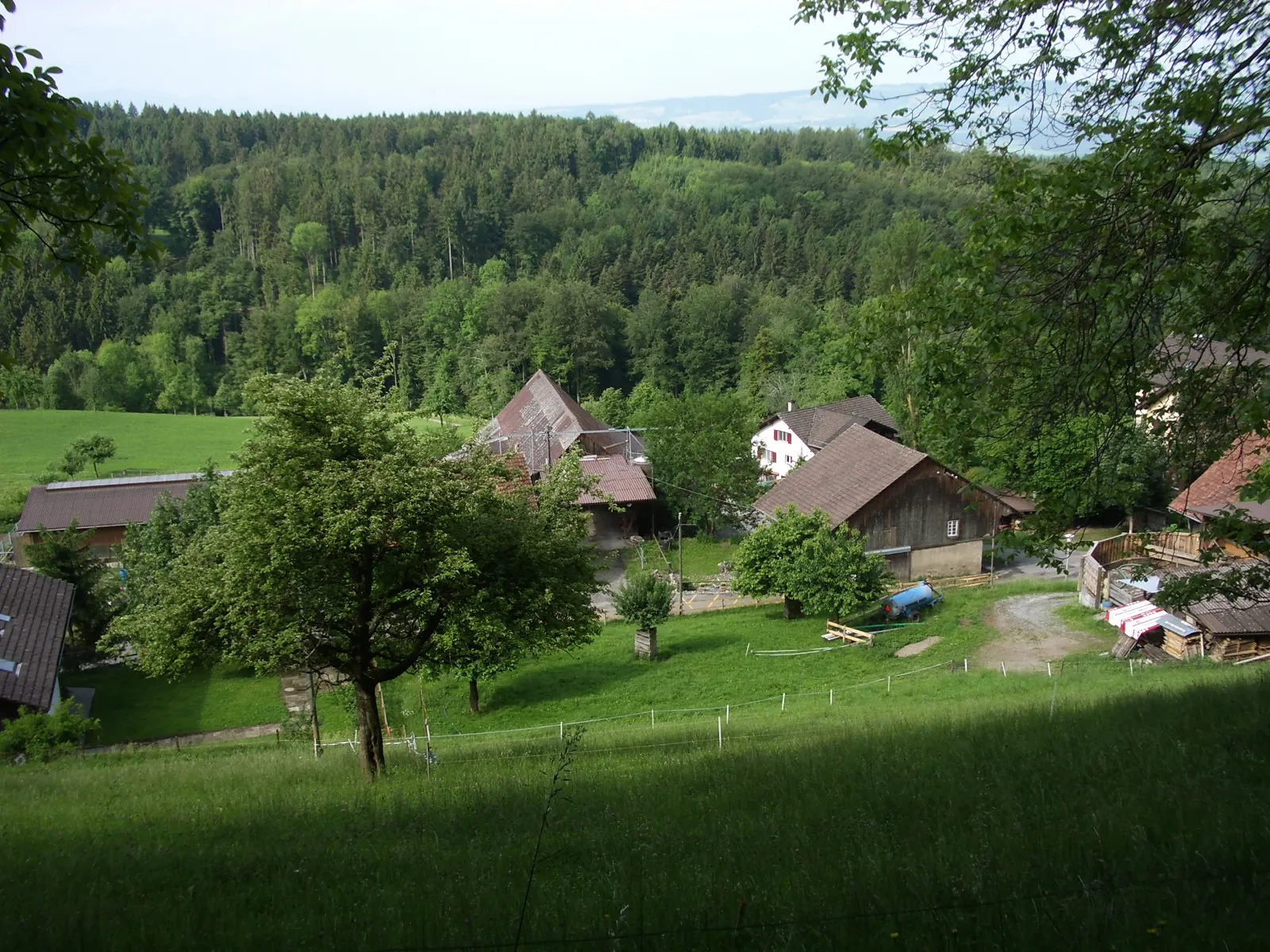 Photo showing: Wengi ZH, Switzerland