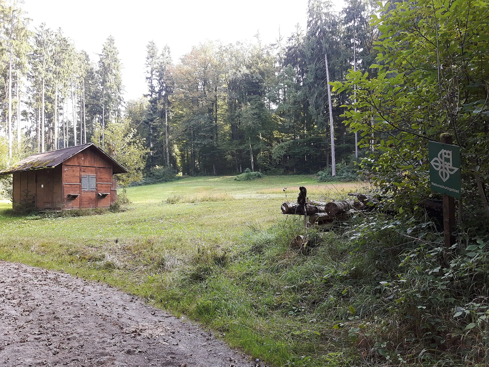 Photo showing: Naturschutzgebiet Riede im Buechholz (Nord), Mettmenstetten, Kanton Zürich