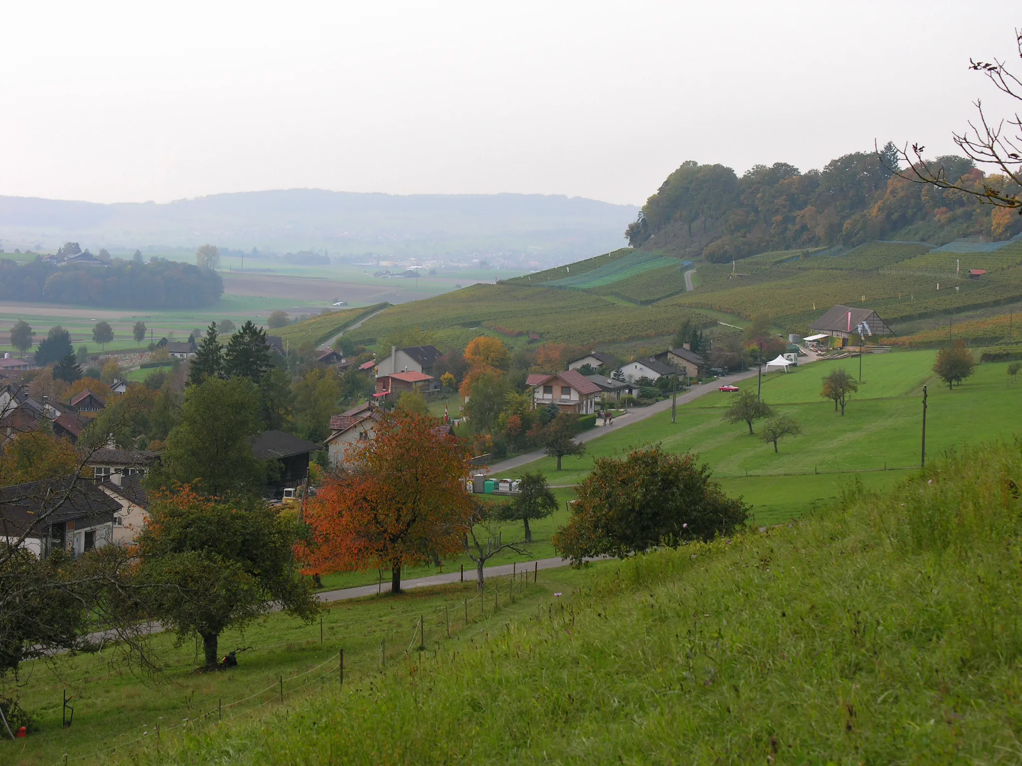 Photo showing: Switzerland, Canton of Schaffhausen, Osterfingen