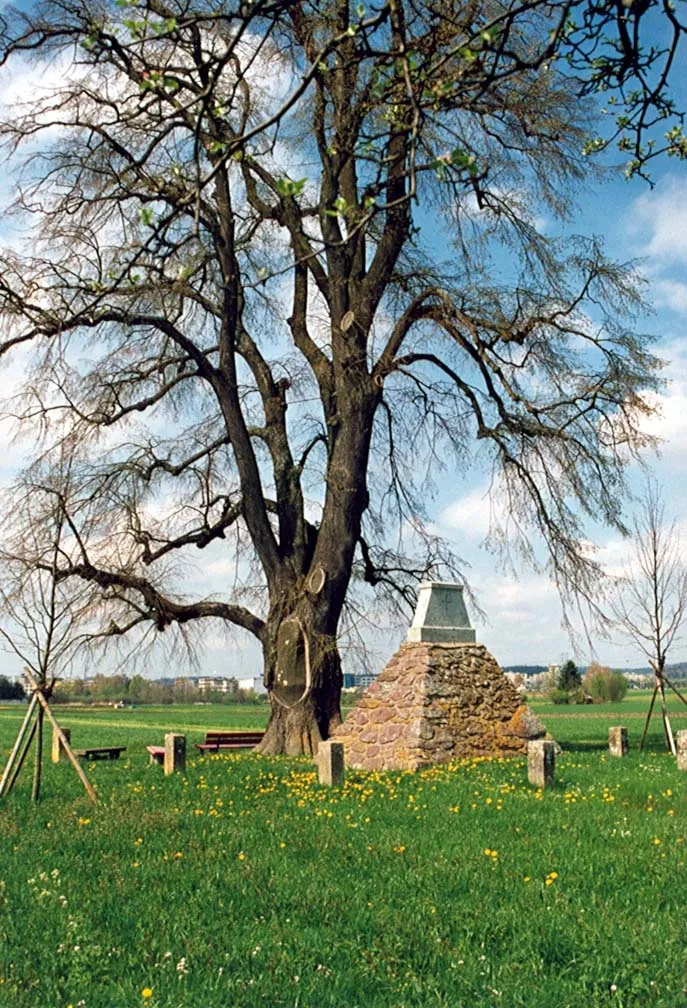 Photo showing: Gedenkstein auf der Bluetmatt