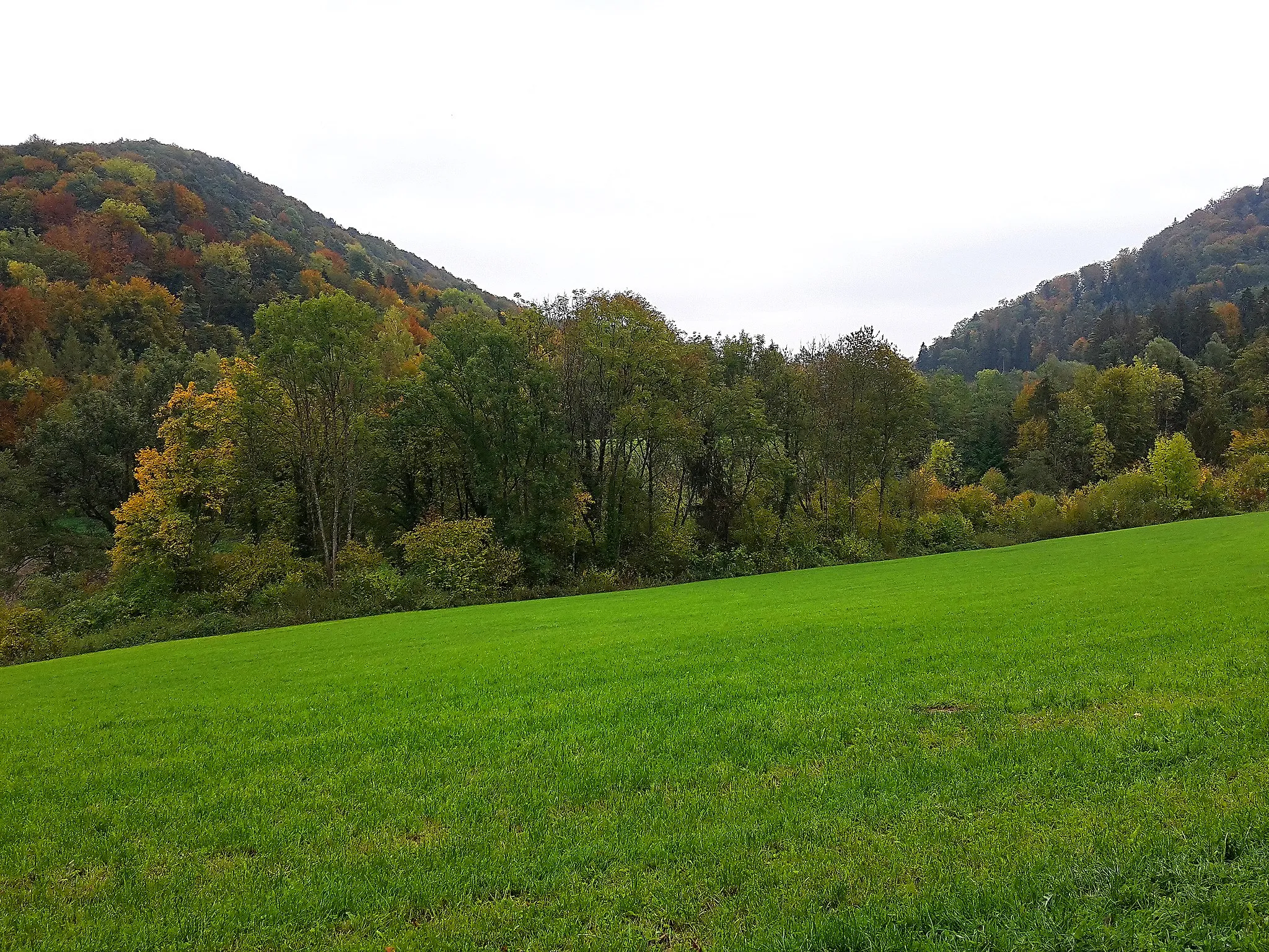 Photo showing: Blick ins Reppischtal bei Dietikon mit dem 580 Meter hohen Honeret (links) und dem Nordhang des Hohbüels (rechts)