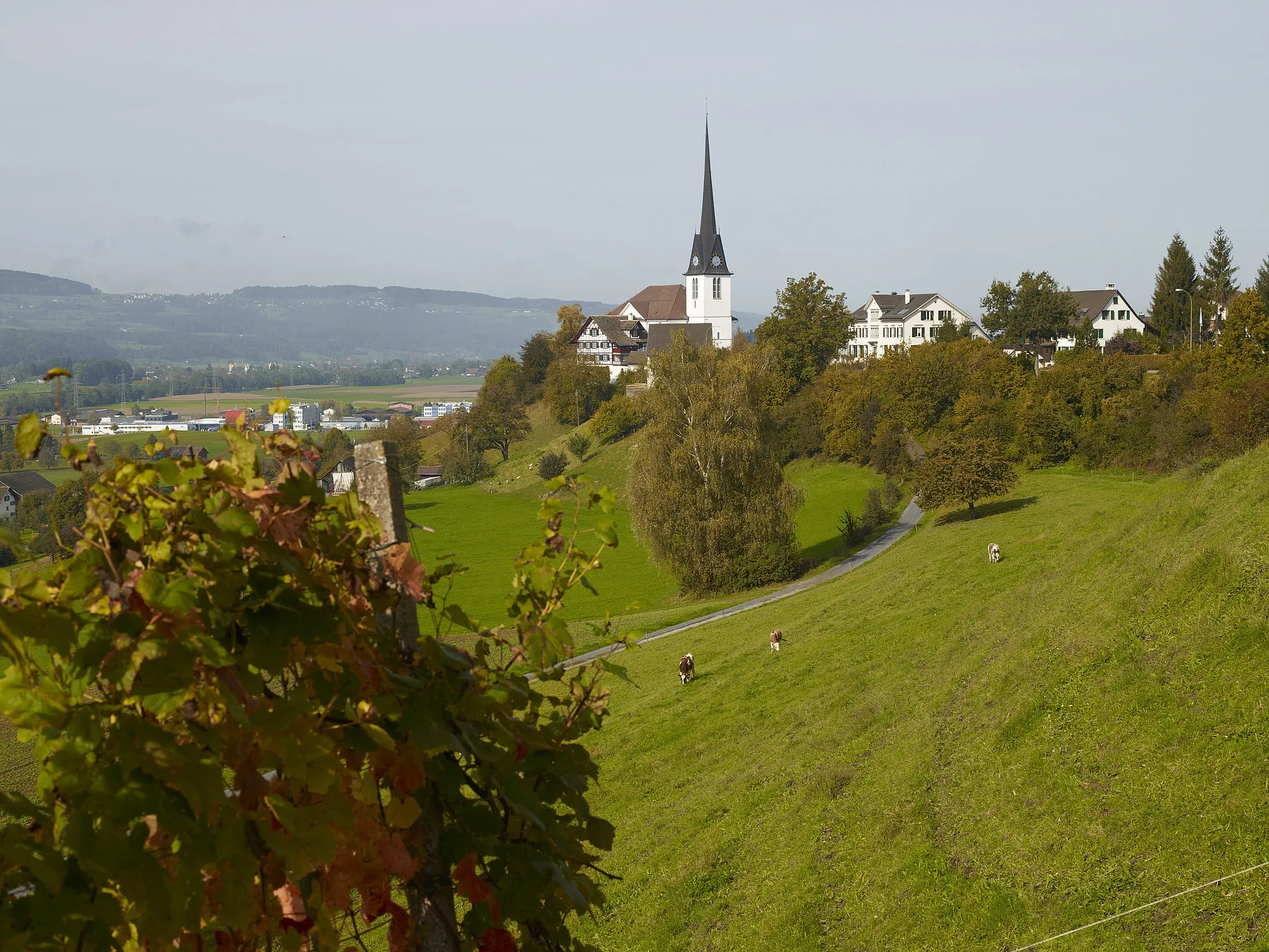 Photo showing: Reformierte Pfarrkirche mit Pfarrhaus und Helferei in Gossau-Dorf. Im Hintergrund ist die kleine Industriezone zu erkennen.