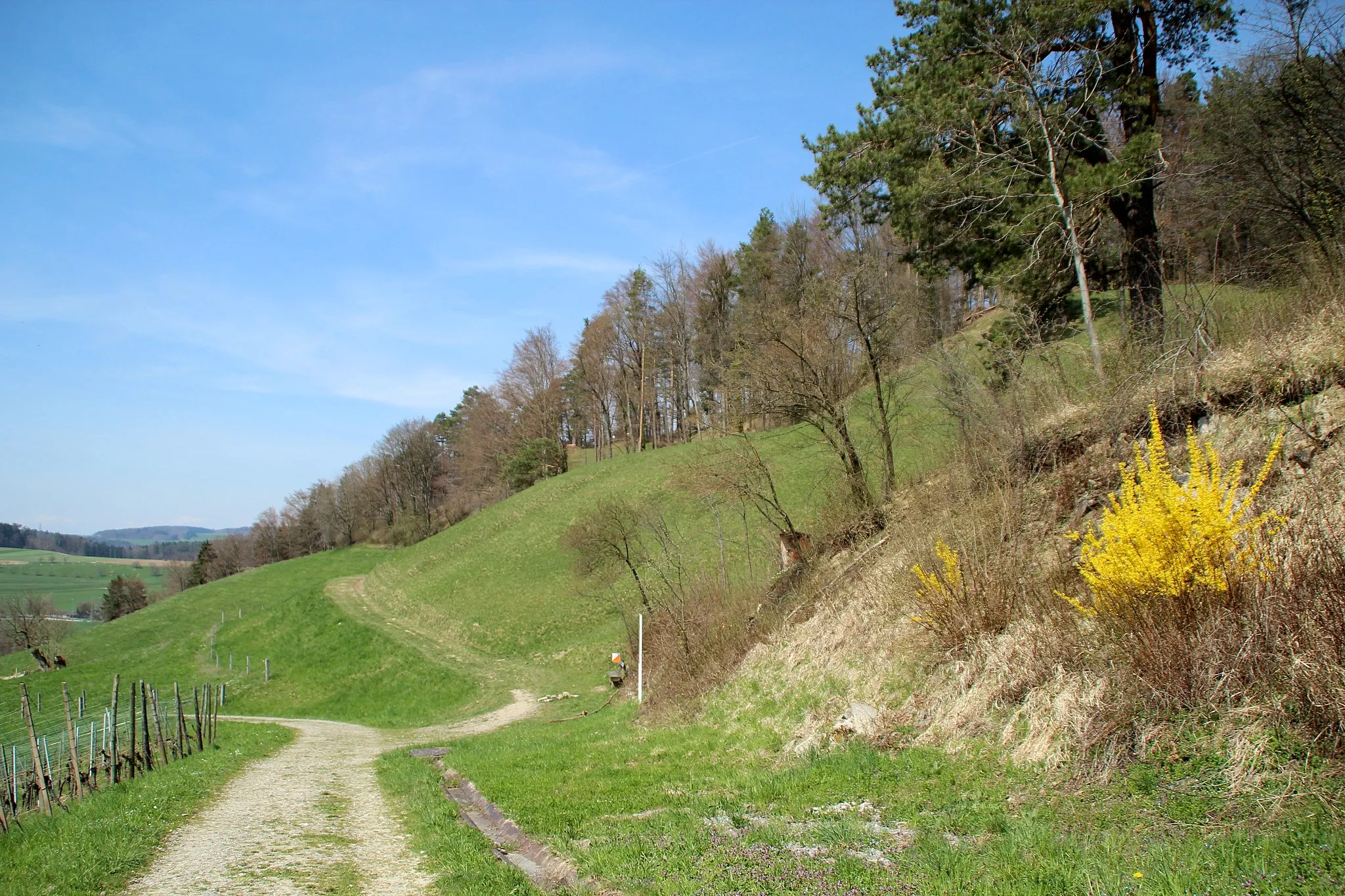 Photo showing: Am Wolfensberg bei Winterthur