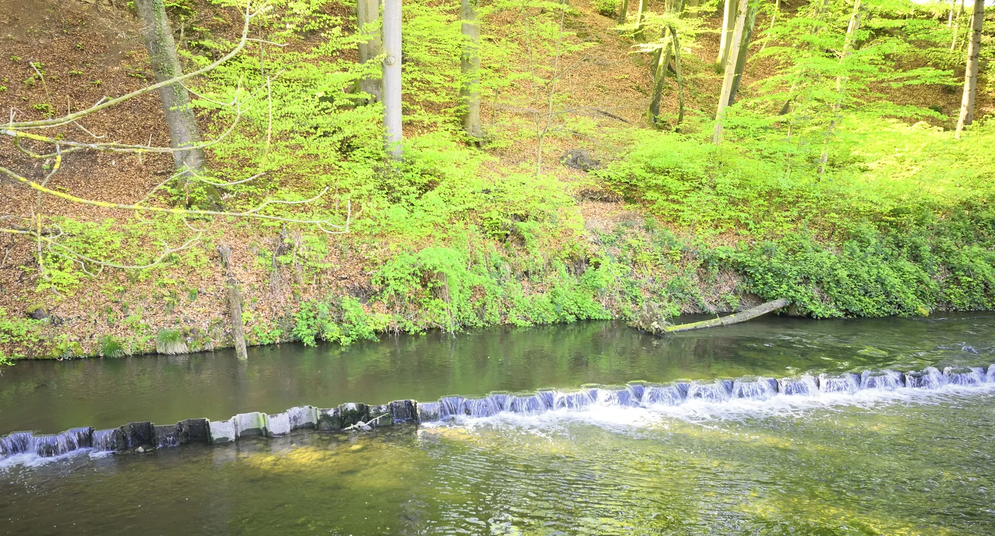 Photo showing: Spinnerei Trümpler, Einlauf in Aabach, ID 198WR-USTER00031a-10