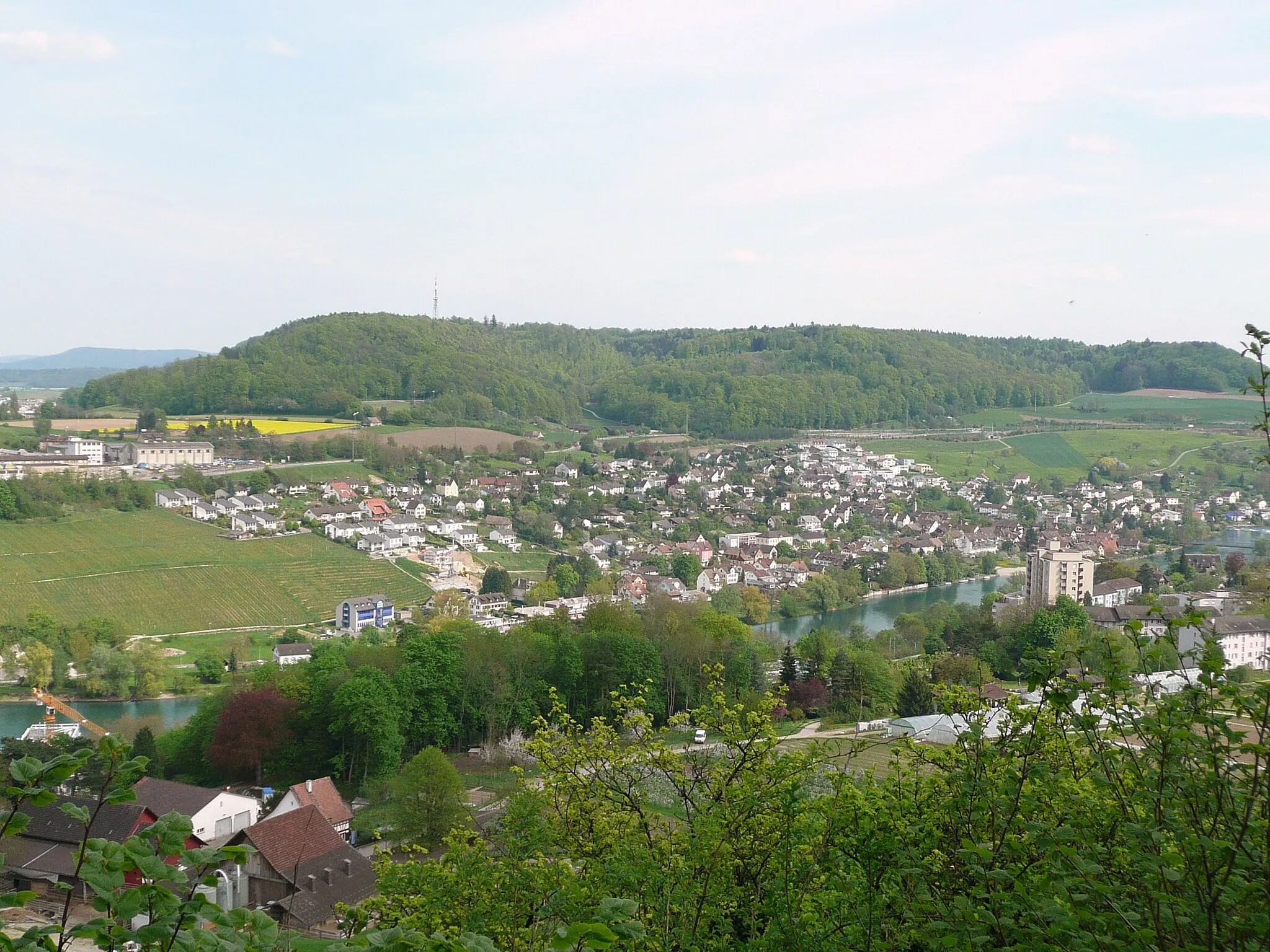 Photo showing: Cholfirst von Neuhausen am Rheinfall aus gesehen mit Rhein und Flurlingen.