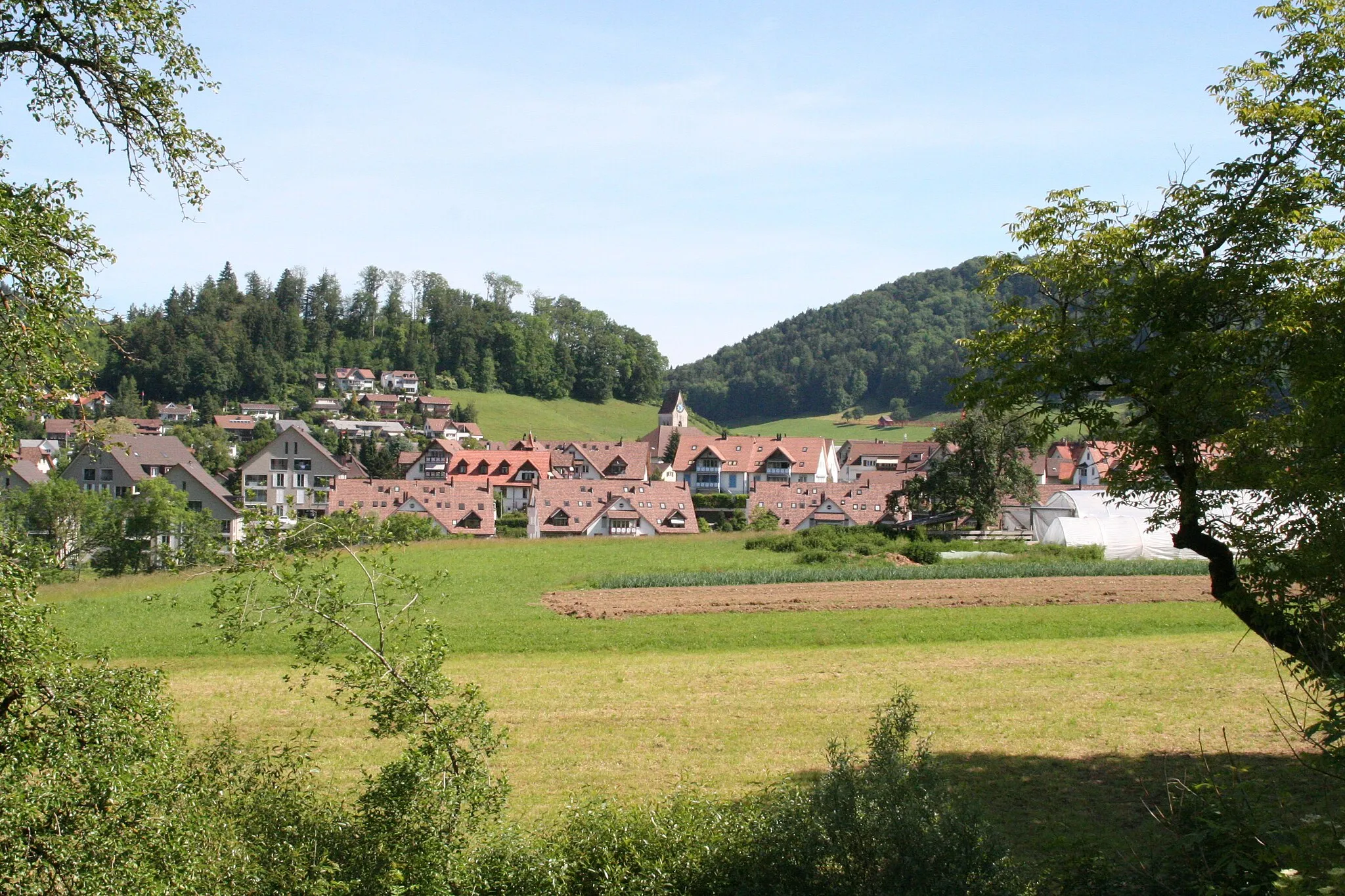 Photo showing: de:Bäretswil