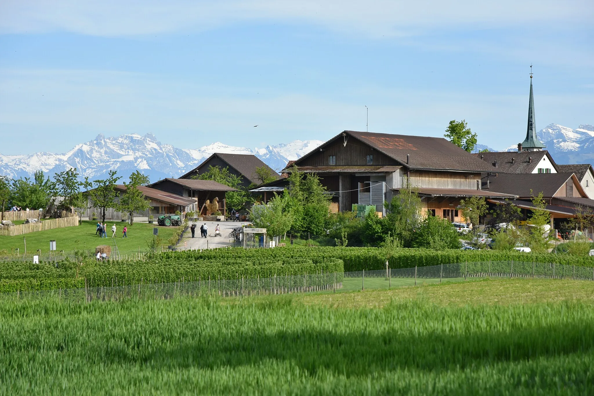 Photo showing: Swiss Alps as seen from Jucker Farm in Seegräben on Pfäffikersee lake shore (Switzerland)