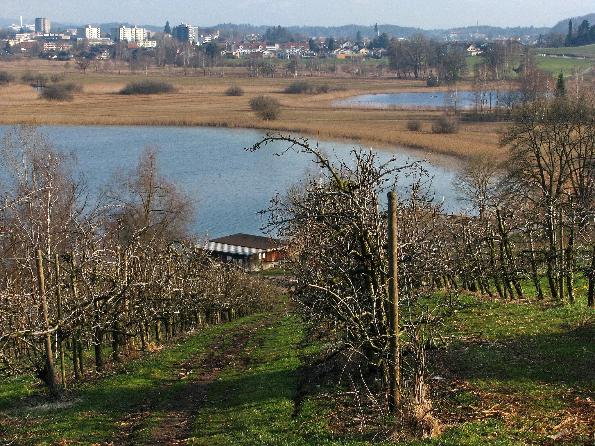 Photo showing: Pfäffikersee (Lake Pfäffikon) and Robenhuserriet, as seen from Seegräben, Aabach to the left, Wetzikon in the background.