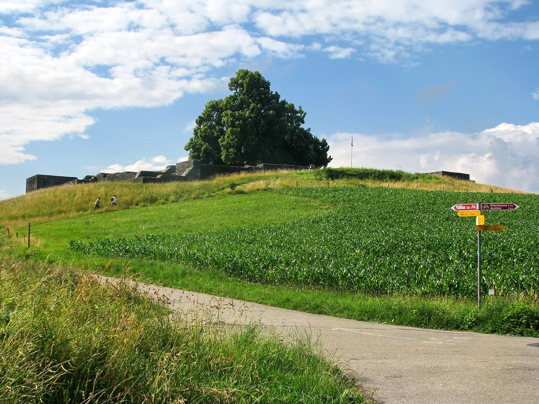 Photo showing: Römisches Kastell in Irgenhausen (Pfäffikon, Switzerland)