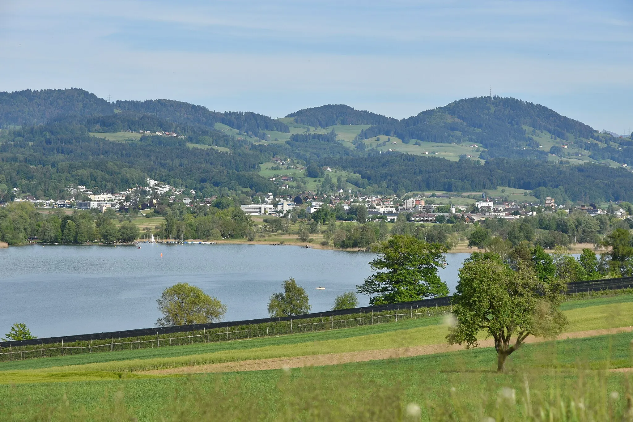 Photo showing: Irgenhausen, Auslikon and Robenhausener Ried alongside Pfäffikersee as seen from Jucker Farm in Seegräben (Switzerland)