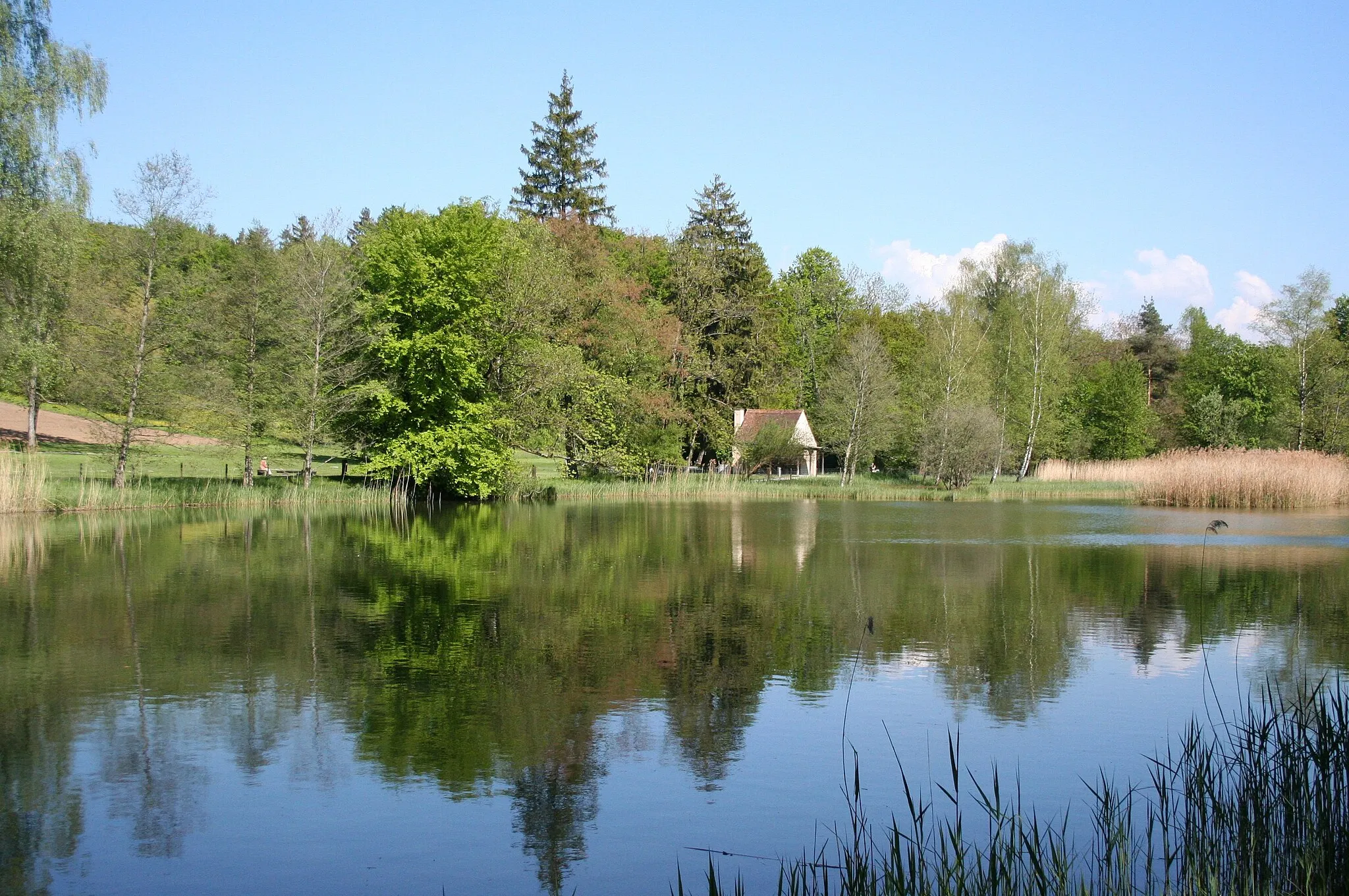 Photo showing: Rumensee oberhalb Küsnacht