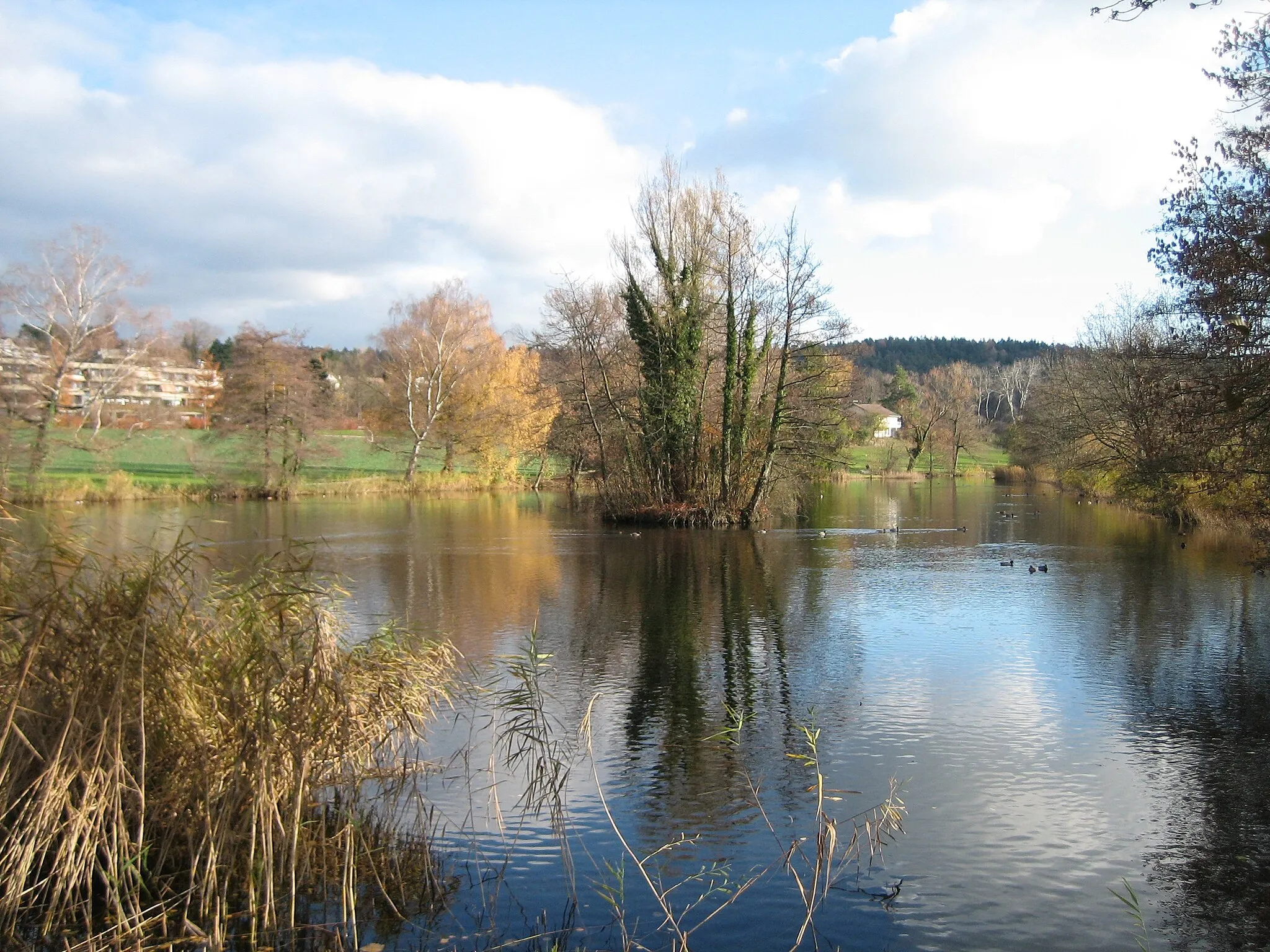 Photo showing: Schübelweiher Küsnacht