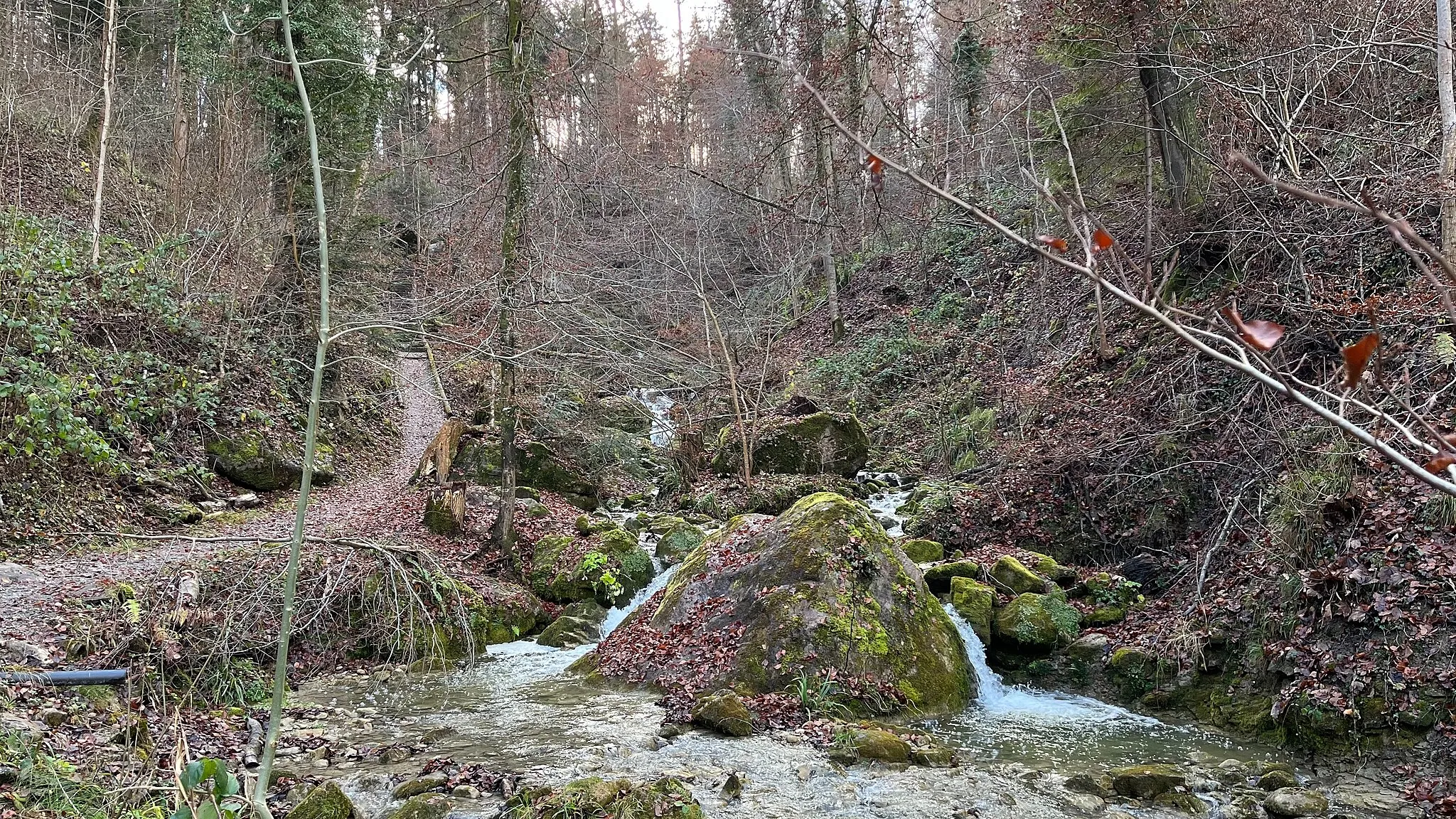 Photo showing: Jörenbach im Fällandertobel im Dezember nach reichlich Niederschlag an den Vortagen