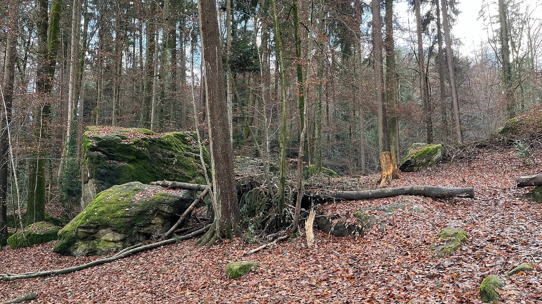 Photo showing: Jörenbach im Fällandertobel im Dezember nach reichlich Niederschlag an den Vortagen