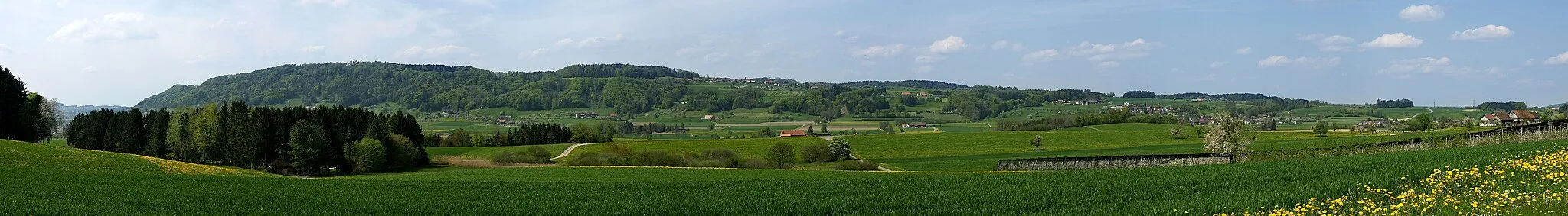Photo showing: Blick ins Tal der Lauche mit dem Imenberg im Hintergrund. Auf der linken Vorderkante thront das Schloss Sonnenberg. Rechts die Dörfer Wetzikon TG und Zezikon.
Panorama aus 7 Querformataufnahmen vom 4. Mai 2008 15 Uhr. EXIF Daten der ersten Aufnahme: 04.05.2008 15 Uhr 1/1000 s - f/8 - ISO 200 - 75 mm KB. Aufnahmestandort: An der Kirchstrasse Lommis - Tägerschen (Isenegg). 528 m - 718889 / 263998

(47° 30′ 57.49″ N, 9° 1′ 1.46″ E  (47.515969°, 9.017072°))