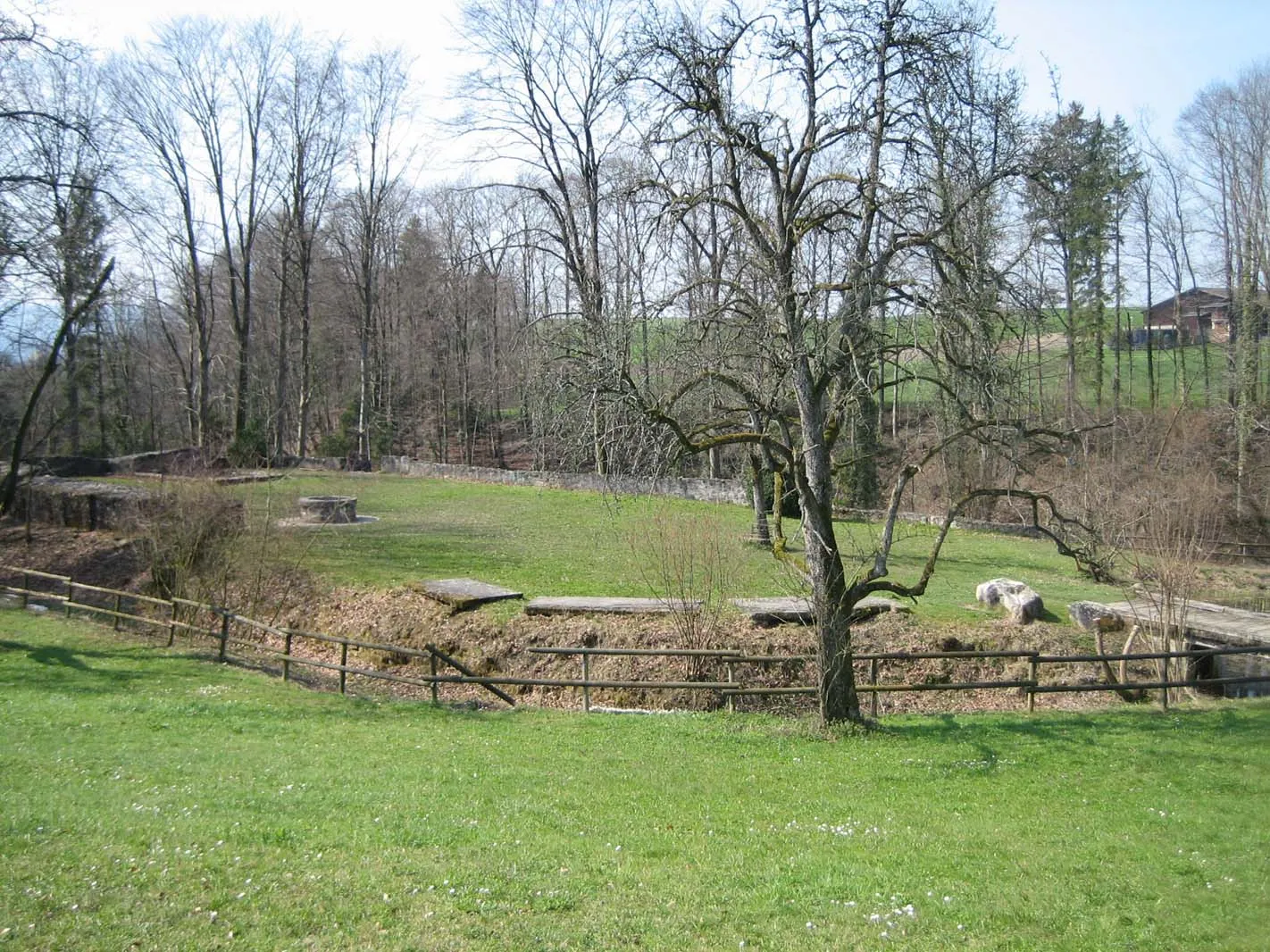 Photo showing: Ruine Friedberg: Übersicht