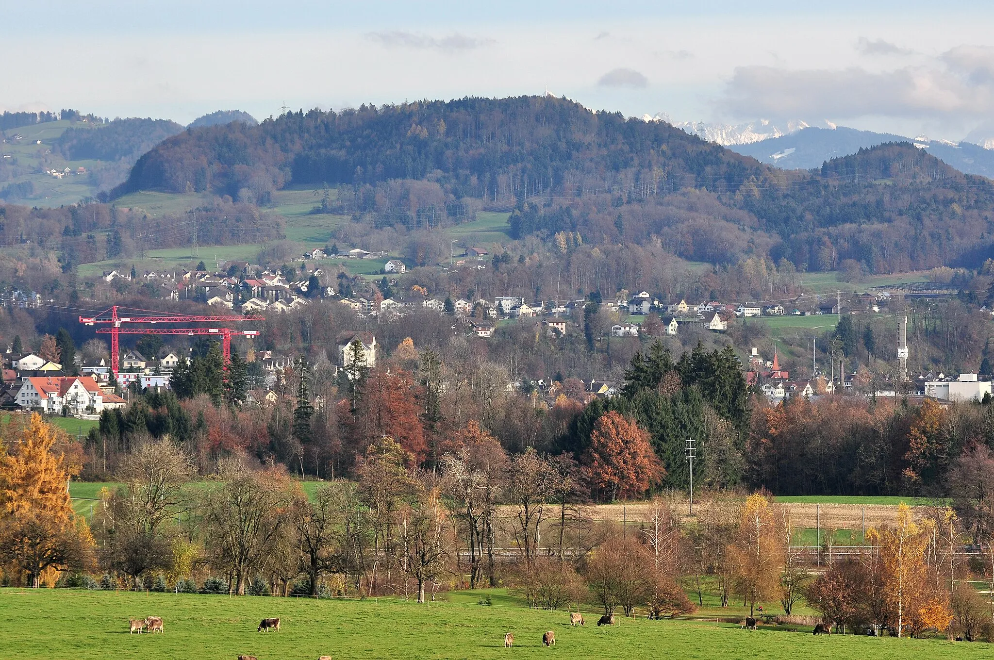 Photo showing: Batzberg hill, Rüti and Tann (in the foreground) in Switzerland, as seen from Bubikon